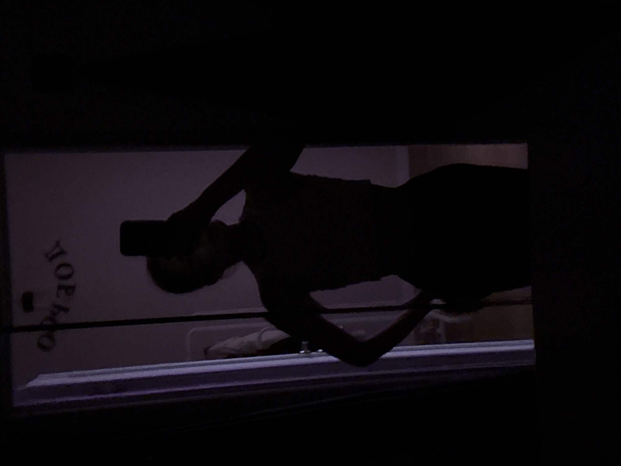 The image depicts a high-contrast silhouette of a person, likely female, captured in a mirror in a dimly lit indoor environment. The individual stands facing the mirror, holding a smartphone to take a self-portrait, with the device obscuring their face. Their right arm is raised, holding the phone, while their left arm is bent, with the hand resting on their hip. The person appears to be wearing a top and pants.
The background, reflected in the mirror, is dimly lit with a faint purple hue. On the left side of the reflection, a white door frame or trim is partially visible. Further back, a light-colored object, possibly clothing or a towel, is indistinctly seen hanging. In the upper-central portion of the reflection, inverted text or symbols are faintly visible, appearing to read "JOESOO" or similar, reflecting from an object or sign within the room. The overall scene is characterized by deep shadows, with minimal detail visible beyond the silhouetted figure and the faint reflections. The location in the city of Perm, Russia, cannot be determined from the provided visual information.