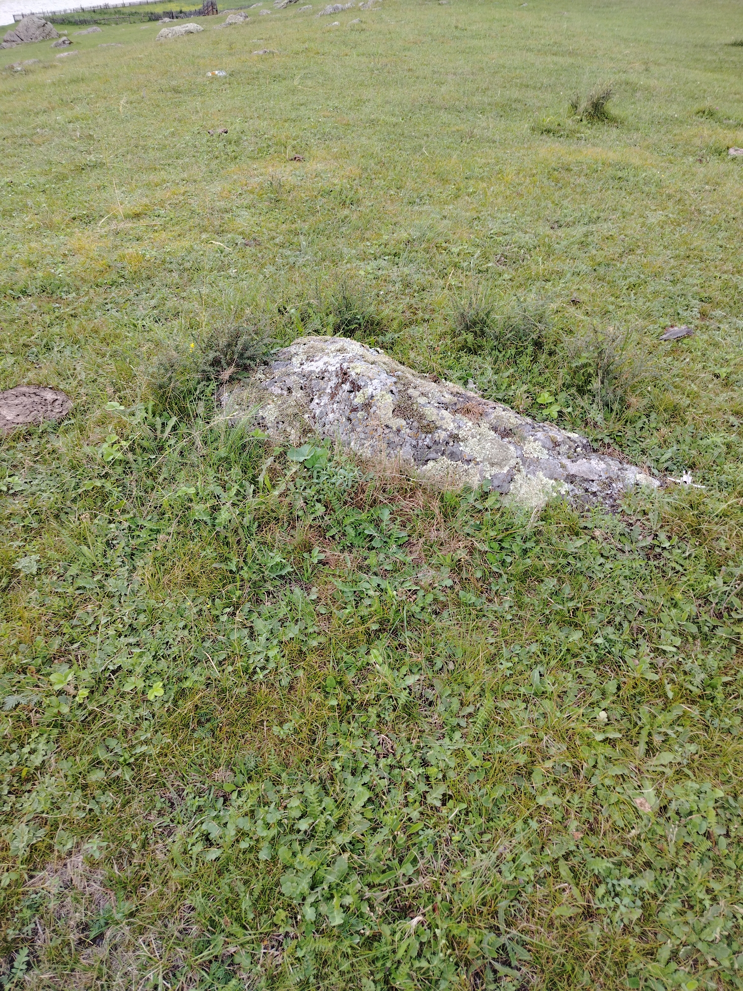 An exterior, high-angle, eye-level shot shows a large, moss-covered rock laying flat on a grassy field in Iodro, Russia. The field is predominantly green with patches of brown, dry grass interspersed throughout. The rock is roughly oblong and measures about 6 feet long. It is covered in light green and grey moss, giving it a rough texture. The rock is partially buried in the grass. In the background, the field continues to slope upwards, dotted with smaller rocks and patches of drier vegetation. The sky is not visible in the frame.