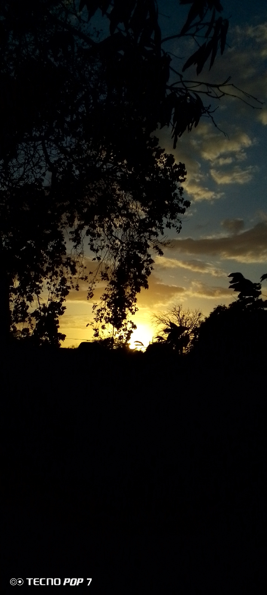The image shows a landscape during sunset in Altagracia, Venezuela. In the foreground, silhouettes of trees obscure much of the lower portion of the picture. The setting sun is visible through gaps in the trees, casting a yellow and orange glow on the horizon and clouds in the sky. The sky transitions from yellow-orange near the horizon to light blue higher up, with scattered clouds. The bottom of the image includes the text "TECNOL POP 7".