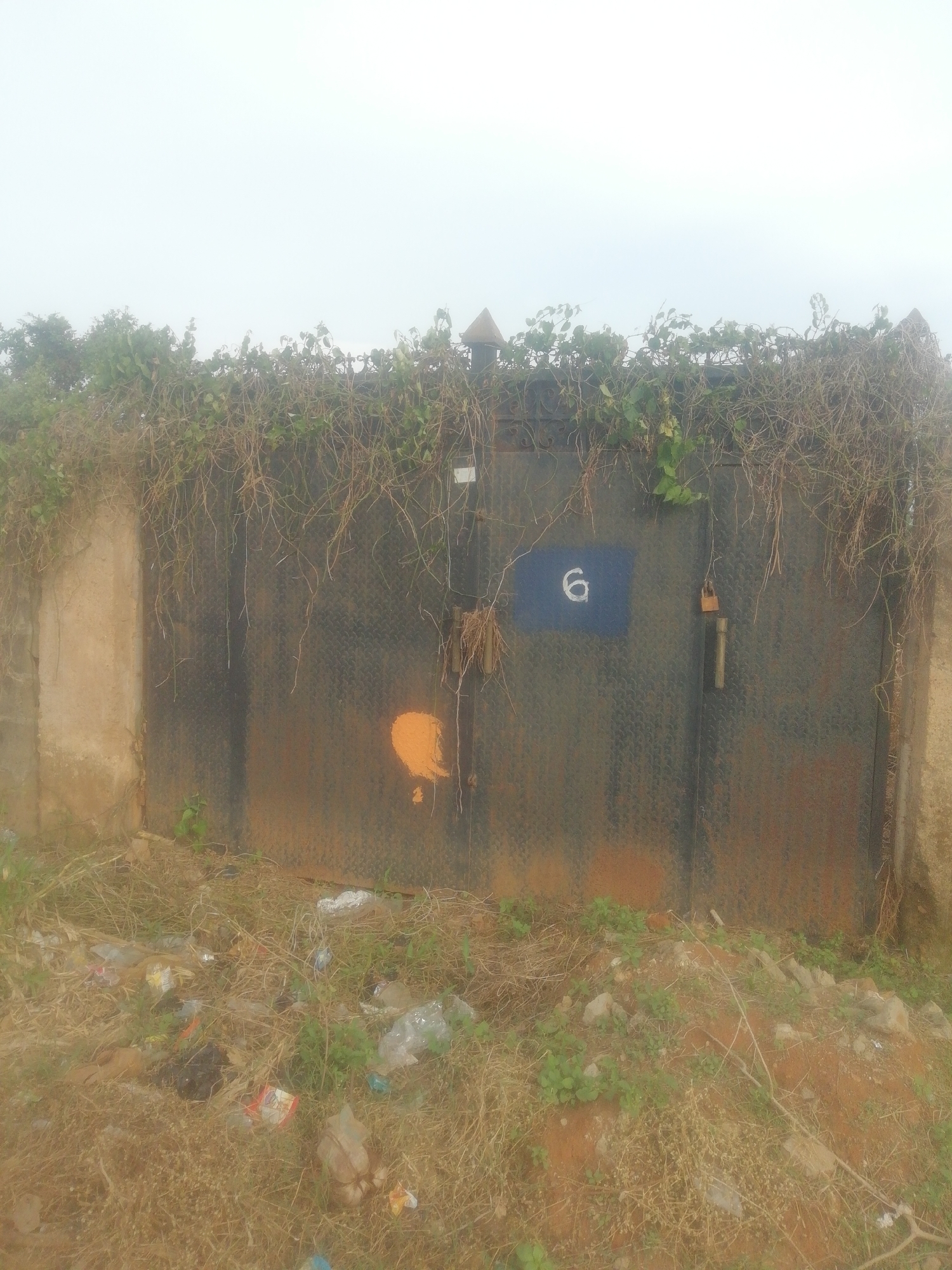The image depicts a dilapidated metal gate at an unidentified location in Unknown, Unknown. The gate is heavily rusted and covered in dried vines and some green foliage. A blue square with the white number "6" is affixed to the gate. There is an orange blotch of paint near the lower left. A padlock is visible on the gate, suggesting it is secured. The area in front of the gate is littered with trash including plastic bottles and paper waste. The overall impression is one of neglect and disuse. The sky is overcast and the lighting is poor. The gate is flanked by concrete walls on either side.