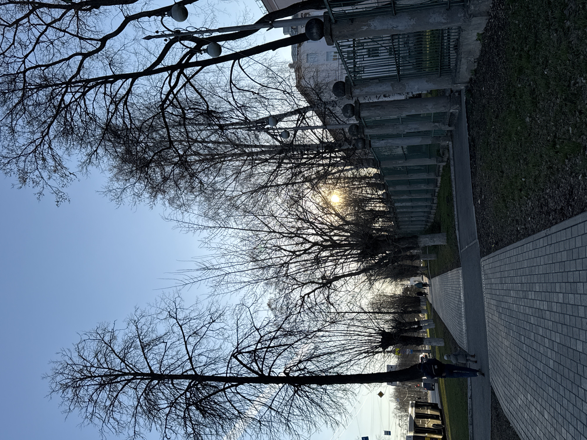 This media file captures a sideways view of a street scene, depicting a tree-lined sidewalk and a building with a fence, likely in Izhevsk, Russia.
The primary subjects are the numerous deciduous trees with bare branches, silhouetted against a clear, bright blue sky. The sun is low in the sky, peeking through the tree canopy and creating a strong lens flare, indicating either early morning or late afternoon. This, along with the bare trees and ground covered in dry leaves and grass, suggests the season is late autumn, winter, or early spring.
Running alongside the trees is a paved sidewalk made of grey rectangular tiles. Several people are visible walking on this sidewalk. In the foreground (bottom left of the original sideways image), a person in a dark jacket and blue jeans, possibly accompanied by a child, walks away from the viewer. Further down the path, other indistinct figures can be seen.
On the other side of the tree line, a long, somewhat weathered structure composed of concrete posts and green mesh panels forms a barrier. Behind this fence, a light-colored building is partially visible. Streetlights or decorative lampposts, featuring spherical light fixtures, are intermittently placed along this structure or among the trees.
Faintly in the background, indications of a street with vehicles (possibly a bus) and a yellow diamond-shaped road sign can be observed, suggesting an urban or suburban setting with ongoing traffic. The overall atmosphere appears peaceful and ordinary, capturing a slice of daily life. No legible text is visible within the image.