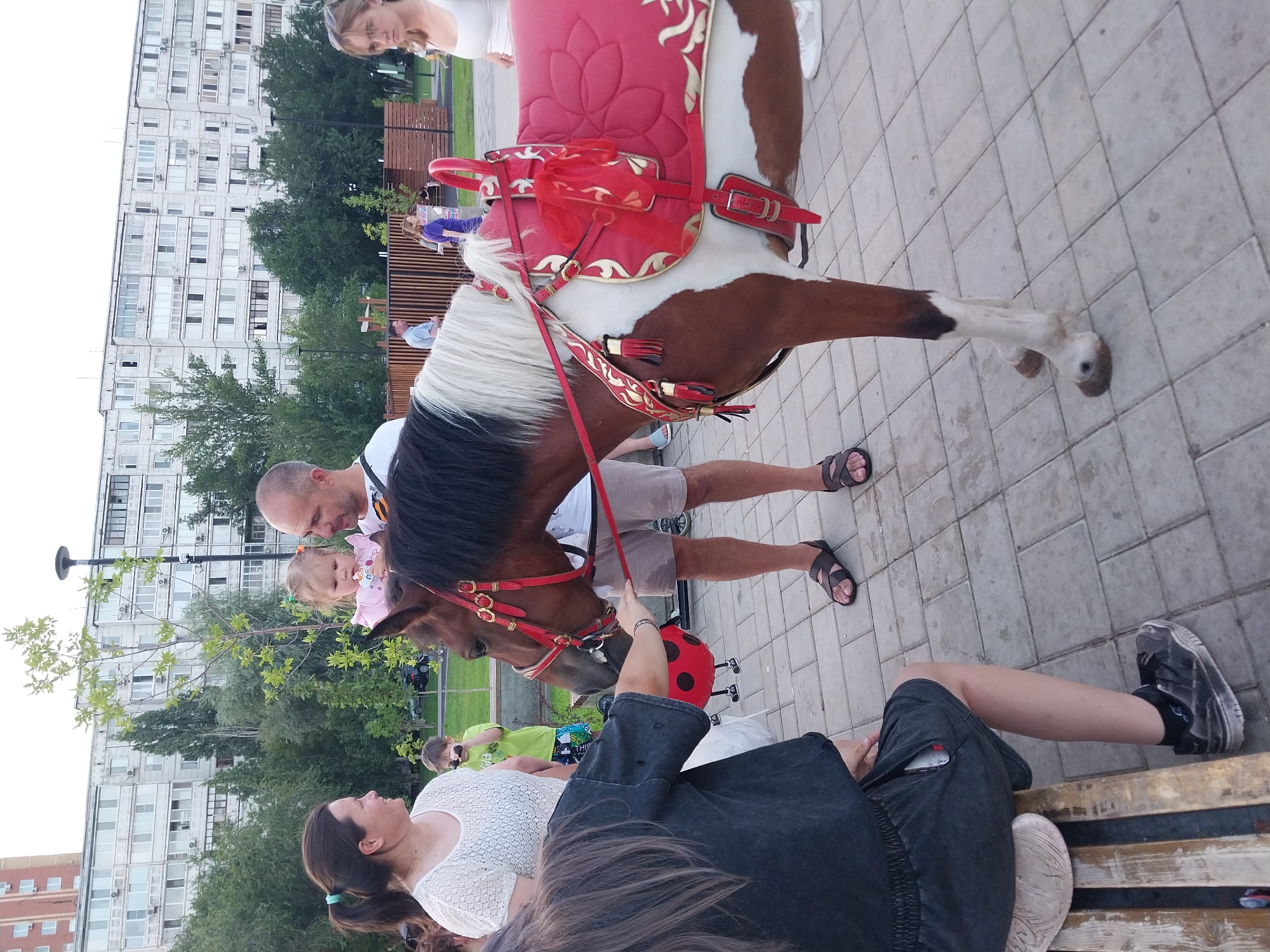 A brown and white horse with a red saddle is standing on a paved area in front of a multi-story building in Orenburg, Russia. A man holding a young child is standing next to the horse. A woman is standing on the other side of the horse, reaching towards its head. In the background, other people are visible, as well as trees and a playground. The overall scene appears to be an outdoor public space.