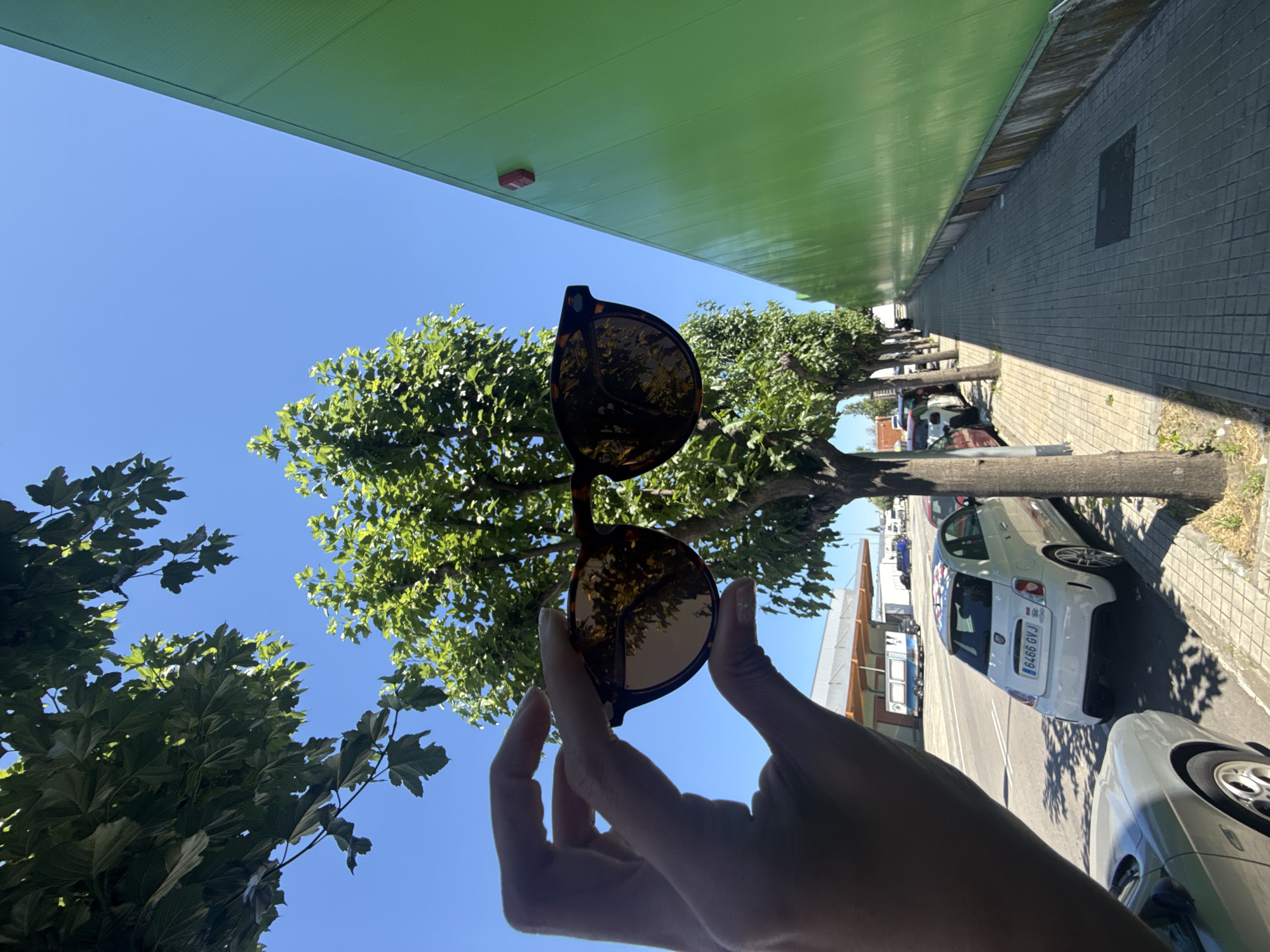 A low-angle shot shows a pair of sunglasses held up against a background of blue sky, green foliage, and buildings. The sunglasses are brown tortoiseshell and reflect the surrounding scene in their lenses. A hand, presumably holding the sunglasses, is visible in the foreground.
The backdrop includes a large tree with lush green leaves. Above the tree, a long, green building facade is seen. To the right, a tiled sidewalk runs alongside the building. Parked cars line the street, including a white Fiat with the license plate 6466 GVJ. Given the Fiat license plate characteristics, the location is most likely in Barcelona, Spain.