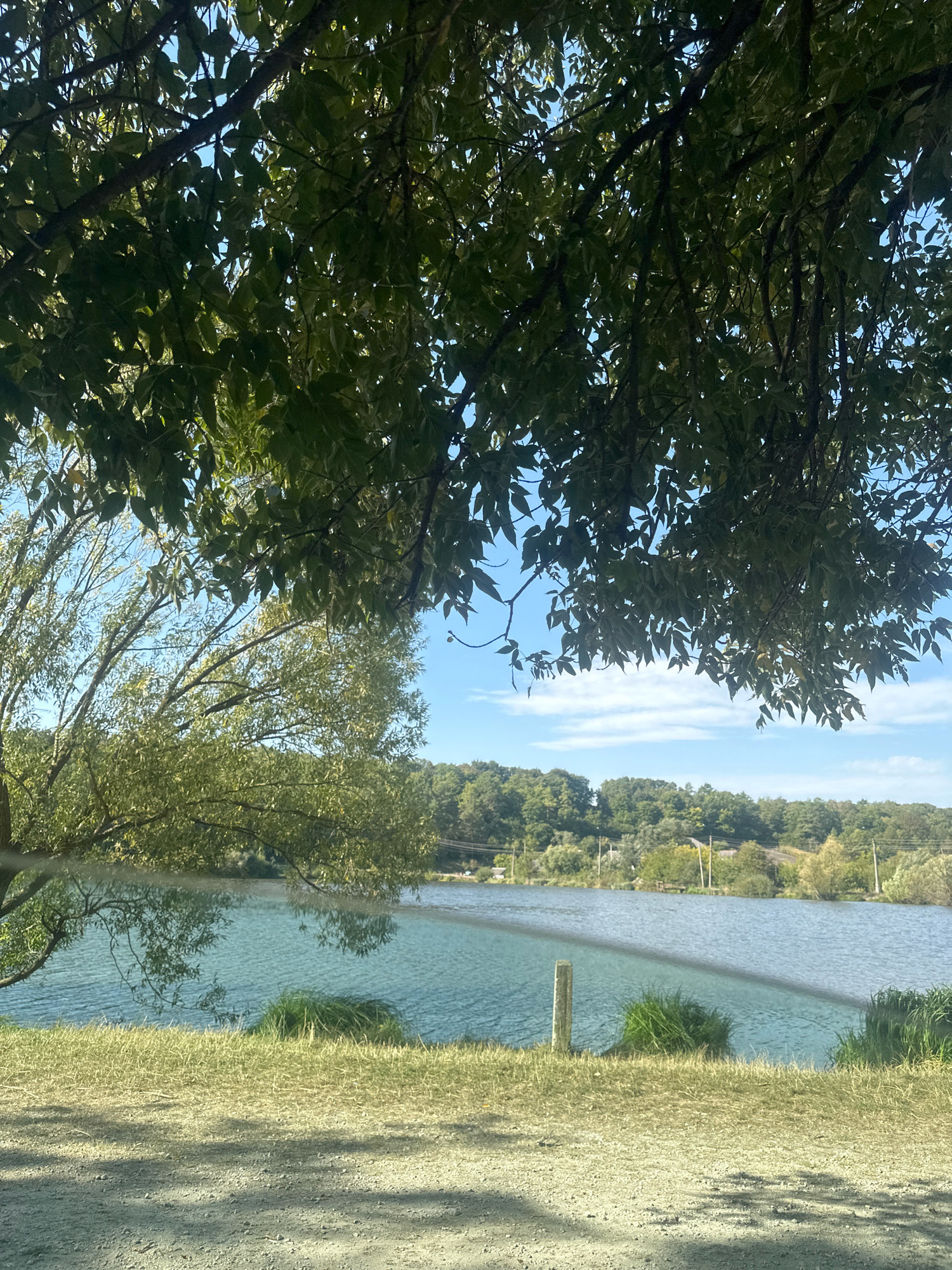 The image depicts a body of water, likely a lake or river, with a shoreline in the foreground and a treelined landscape in the background. The water is a vibrant blue with ripples on its surface. Tall green grass grows along the immediate shoreline, and farther back, a dense forest covers rolling hills. The sky is a clear blue with scattered white clouds. In the foreground, a dirt path or road is visible, partially shaded by the dappled sunlight filtering through the leaves of trees whose branches overhang the scene from the top of the frame. A single wooden post stands near the water's edge. The overall impression is a natural, serene landscape in Makiv, Ukraine.