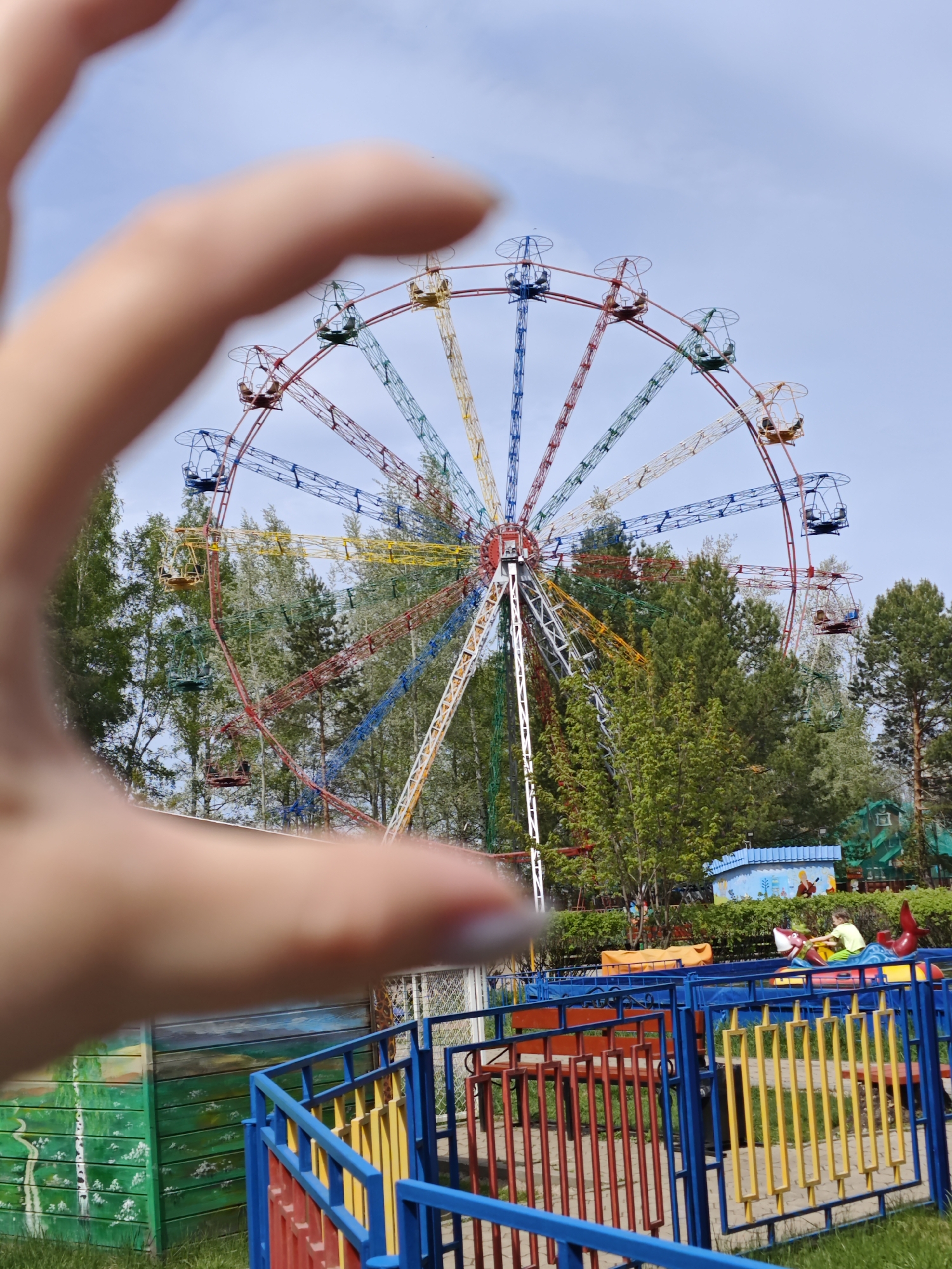 The image depicts a Ferris wheel in the city of Chaikovsky, Russia, as evidenced by the style of the amusement park and local vegetation. The Ferris wheel is multicolored, with cars in blue, red, yellow, and green. The central support structure is white. In the foreground, part of a person's hand is visible, framing the Ferris wheel with their fingers. Behind the Ferris wheel, there are numerous trees with green foliage. Below and to the right of the Ferris wheel is a children's ride. This ride includes colorful benches and a shark-shaped boat with a child on it. Fences around the rides are painted in alternating colors: blue, yellow, and red. A green wooden building and a blue building with cartoon images on it are visible in the background. The sky above is partly cloudy.