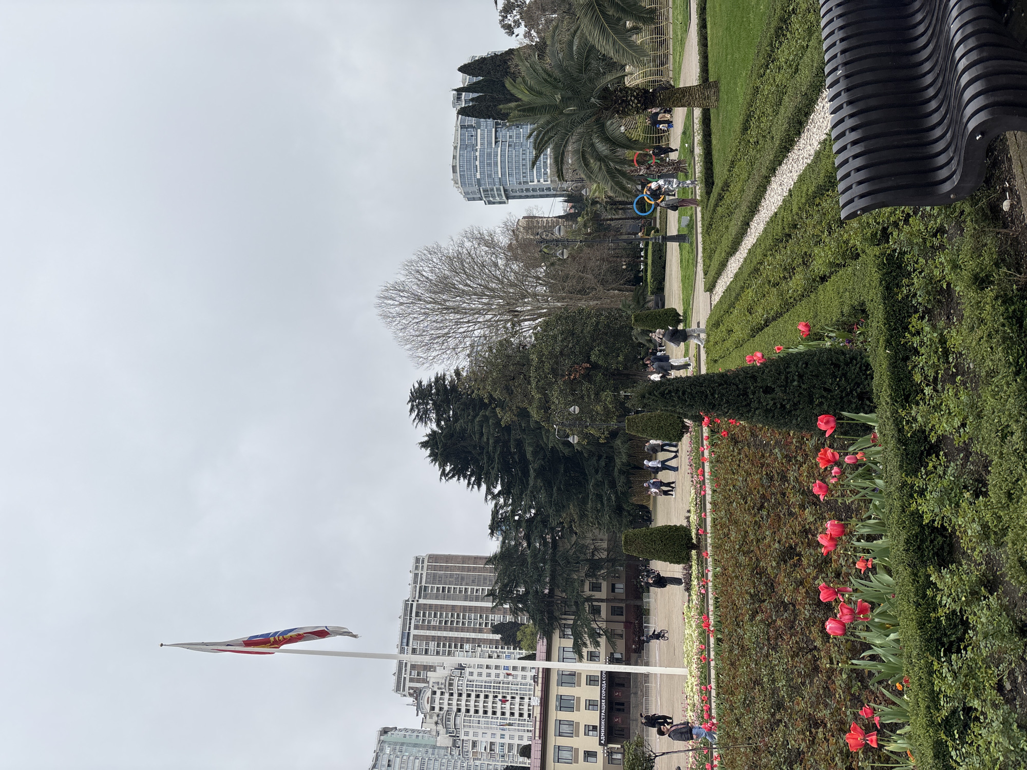 The image shows a park scene in Sochi, Russia, featuring a formal garden with manicured hedges and rows of red tulips. A flagpole with a flag is visible in the foreground, situated near a building identified as the City of Sochi Administration. Several people are seen walking through the park. In the background, there are city buildings and various trees, including palm trees and bare trees. The sky is overcast. A modern-style bench is located at the edge of the garden. In the mid-ground, some people are near the Olympic rings decoration.