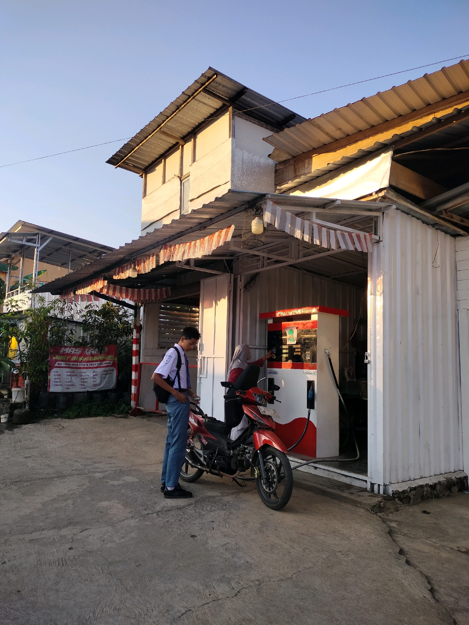 The image depicts a small, open-air gas station in Tersono, Indonesia, likely in a rural or suburban area. A young man in a school uniform, complete with a backpack, stands beside a red motorcycle, appearing to be either refueling it or waiting for service. Another person, partially obscured, is visible near the gas pump, suggesting they might be the attendant or another customer. The gas station has a simple, corrugated metal roof structure supported by wooden beams, with white corrugated metal siding on the building. Red and white pennant banners are strung along the awning, possibly indicating a local celebration or event. A sign advertising "MAS LAND" and various fruit names is visible on the left, indicating that the gas station might also be associated with a fruit stand or market. The ground is paved with concrete, showing some cracks and wear. The scene is illuminated by the warm, golden light of what appears to be late afternoon or early morning sun.