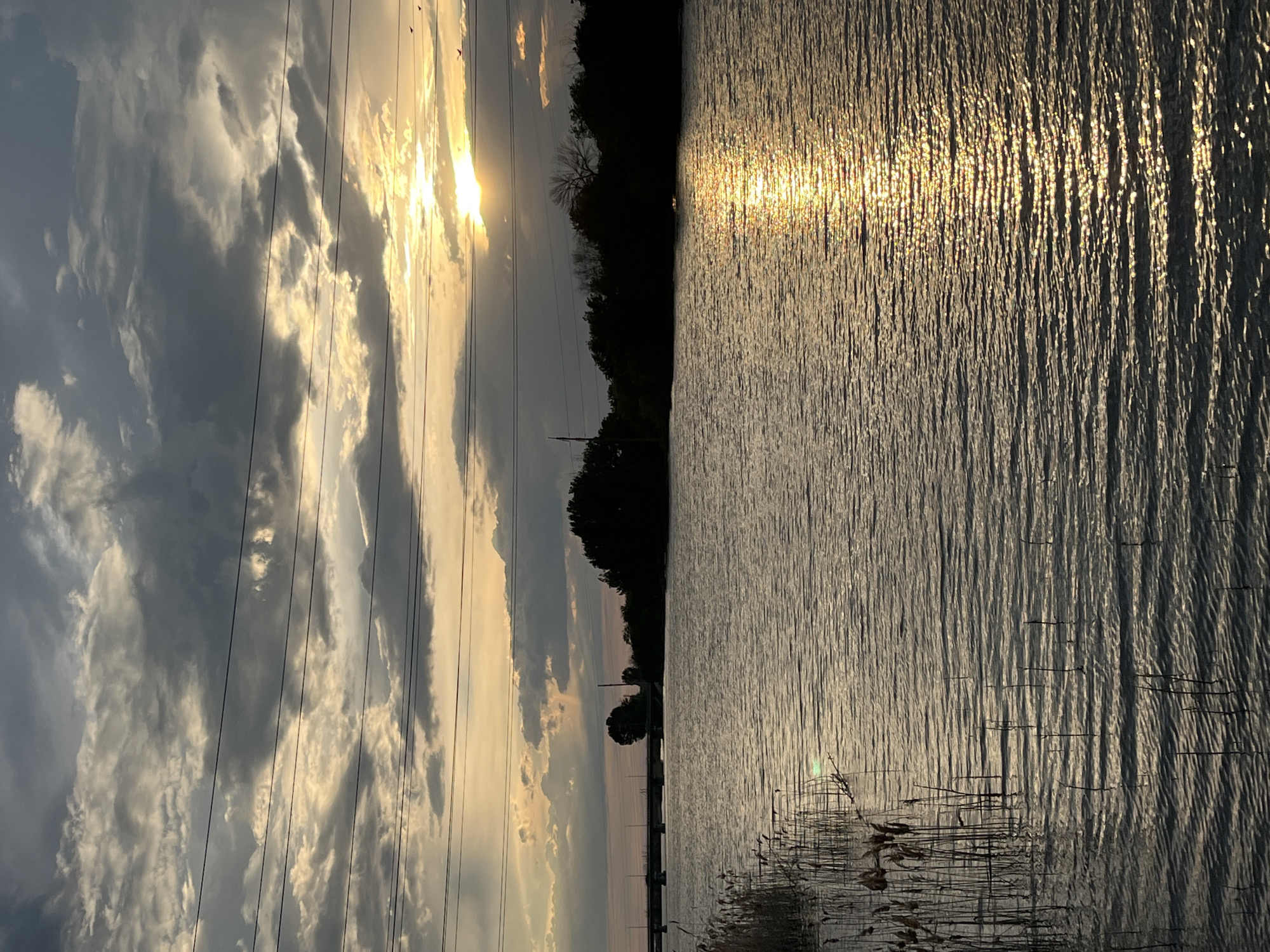The image depicts a serene waterfront scene at sunset. The sky is a dramatic canvas of dark, brooding clouds interspersed with patches of bright sunlight, creating a dynamic interplay of light and shadow. Several power lines stretch horizontally across the upper portion of the frame, cutting through the colorful sky. Below, the tranquil water of a river or lake reflects the golden hues of the setting sun, creating a shimmering path of light. On the far bank, a dense line of dark trees silhouettes against the sky, with a bridge visible in the distance on the left. In the foreground, on the left side of the image, tall reeds or marsh grass stand partially submerged in the water, adding a touch of natural detail to the scene. The overall atmosphere is one of calm and natural beauty, with the power lines serving as a subtle reminder of human presence within the landscape. This scene is located in Krasnyye Barrikady, Russia.