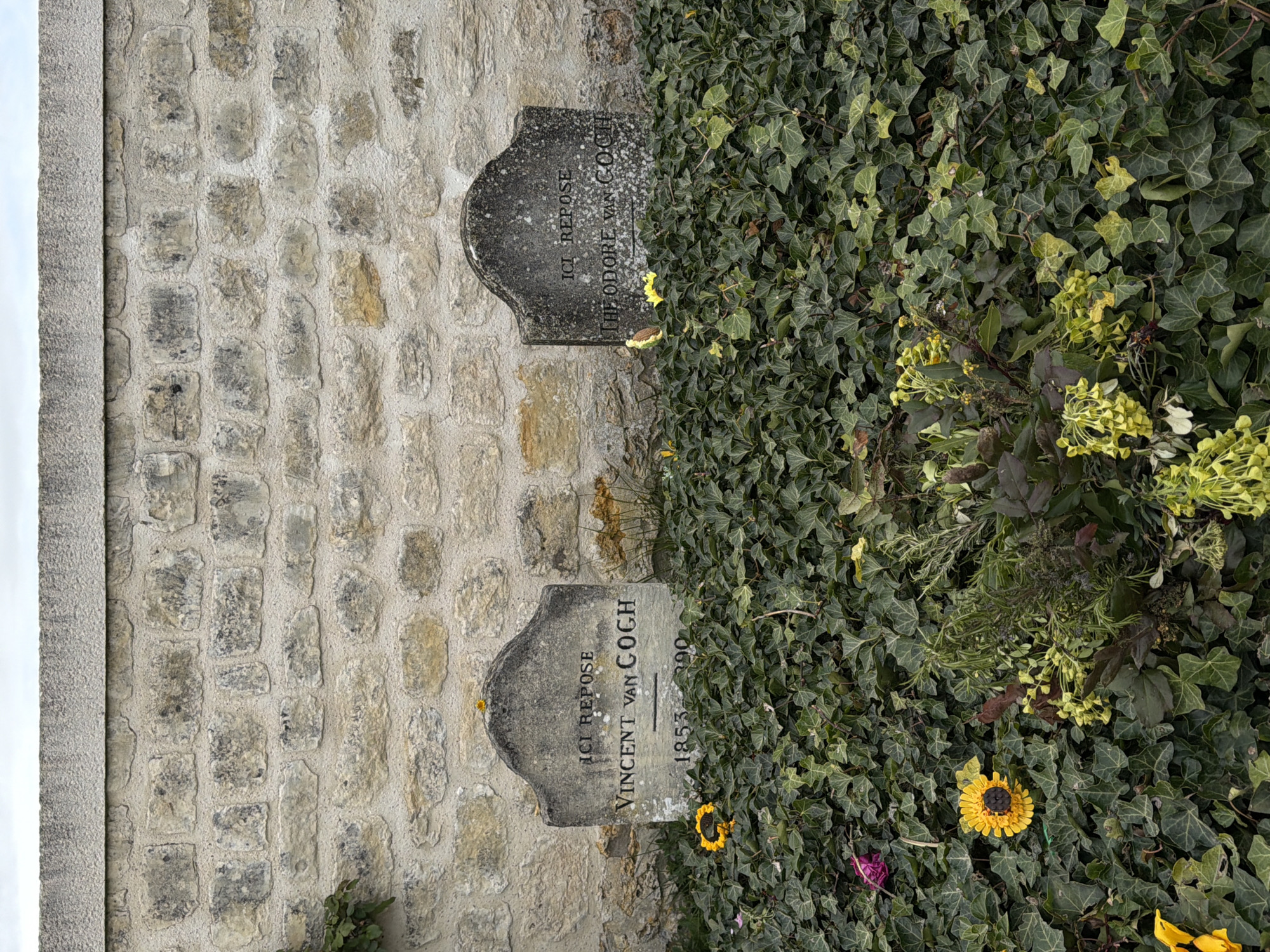 The image shows the graves of Vincent and Theo van Gogh at the Auvers-sur-Oise cemetery in France. The stone wall and ivy-covered ground are visible. Two stone grave markers are present. One is inscribed "ICI REPOSE VINCENT VAN GOGH 1853-1890" and the other "ICI REPOSE THEODORE VAN GOGH". Several sunflowers are visible near the graves.