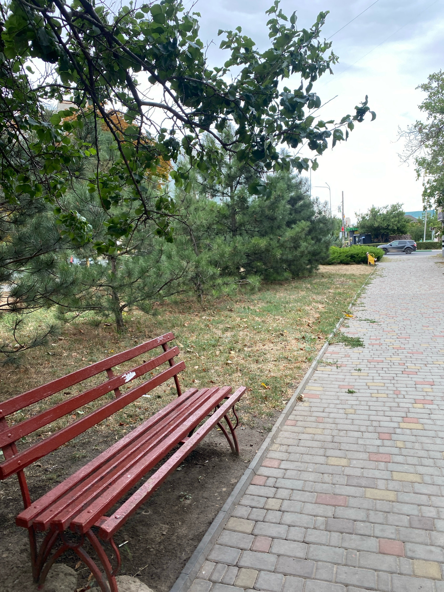 A red wooden park bench sits on a patch of dry grass and dirt next to a paved walkway. The walkway is made of interlocking bricks in shades of grey, yellow, and red. Tall evergreen trees and leafy trees create a shaded area over the bench and grass. In the background, a dark-colored car is parked near a building with green foliage. The sky is overcast with clouds. The location is likely a park or public area in Chornomorsk, Ukraine.