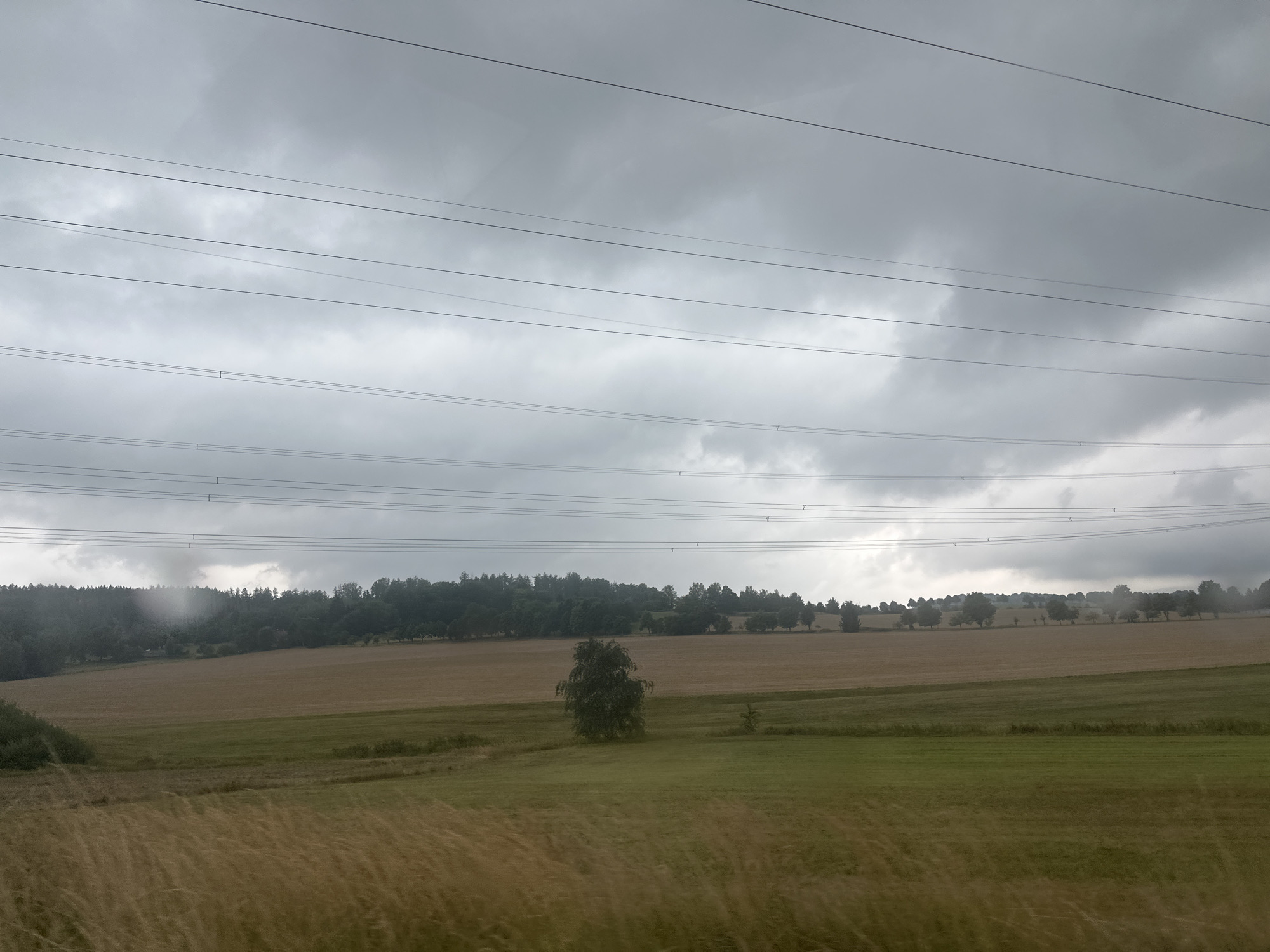 The image depicts a rural landscape under a cloudy sky, with multiple power lines stretching horizontally across the frame. In the foreground, blurred golden grass is visible, suggesting movement or a slight blur. Behind this, a green field transitions into a tan-colored field, likely agricultural. A solitary deciduous tree stands in the middle of the tan field. Further in the background, a dense line of trees forms a treeline, separating the fields from the horizon. The sky is overcast with gray clouds. The scene is located in Schirgiswalde-Kirschau, Germany.
