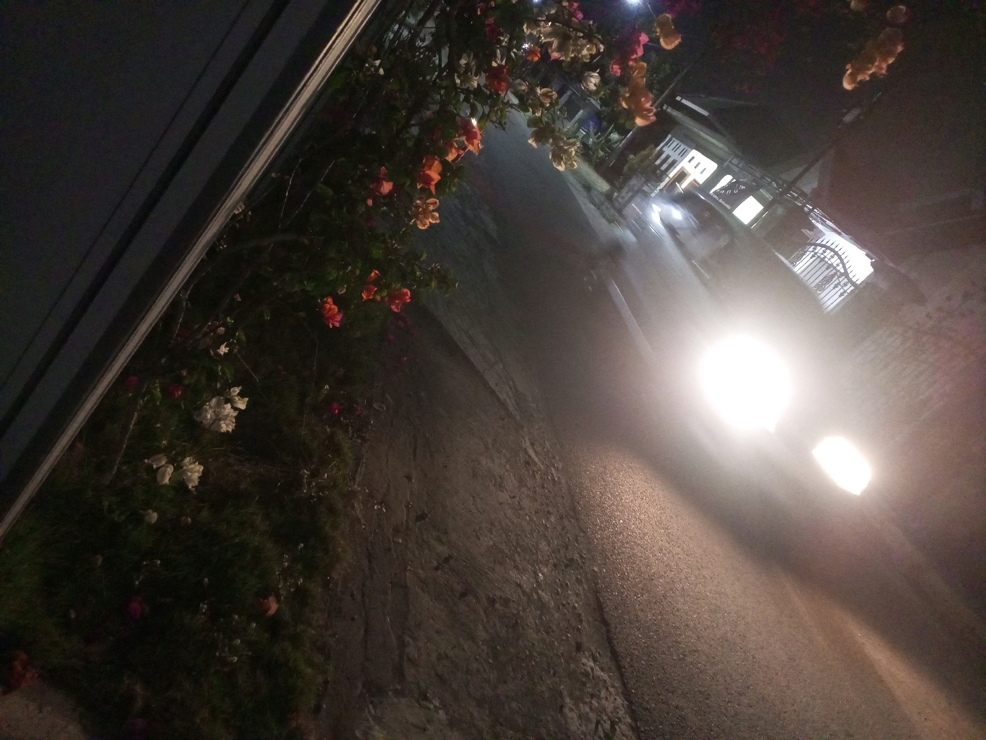 The image depicts a nighttime scene on a street in Ngasem, Indonesia. In the foreground left, a dark, textured structure, possibly a wall or building facade, is visible. Adjacent to this, a bush with vibrant flowers in shades of orange, pink, and white is in bloom, extending into the frame from the top. The street itself is paved and appears wet, reflecting the bright headlights of an approaching vehicle. The vehicle's headlights create a strong glare, obscuring details of the car itself but illuminating the road ahead and a portion of a white-railed fence on the right side of the street. In the background, a building with illuminated windows is visible, suggesting residential or commercial activity. The overall atmosphere is dark and atmospheric, characteristic of a residential street at night with artificial lighting.