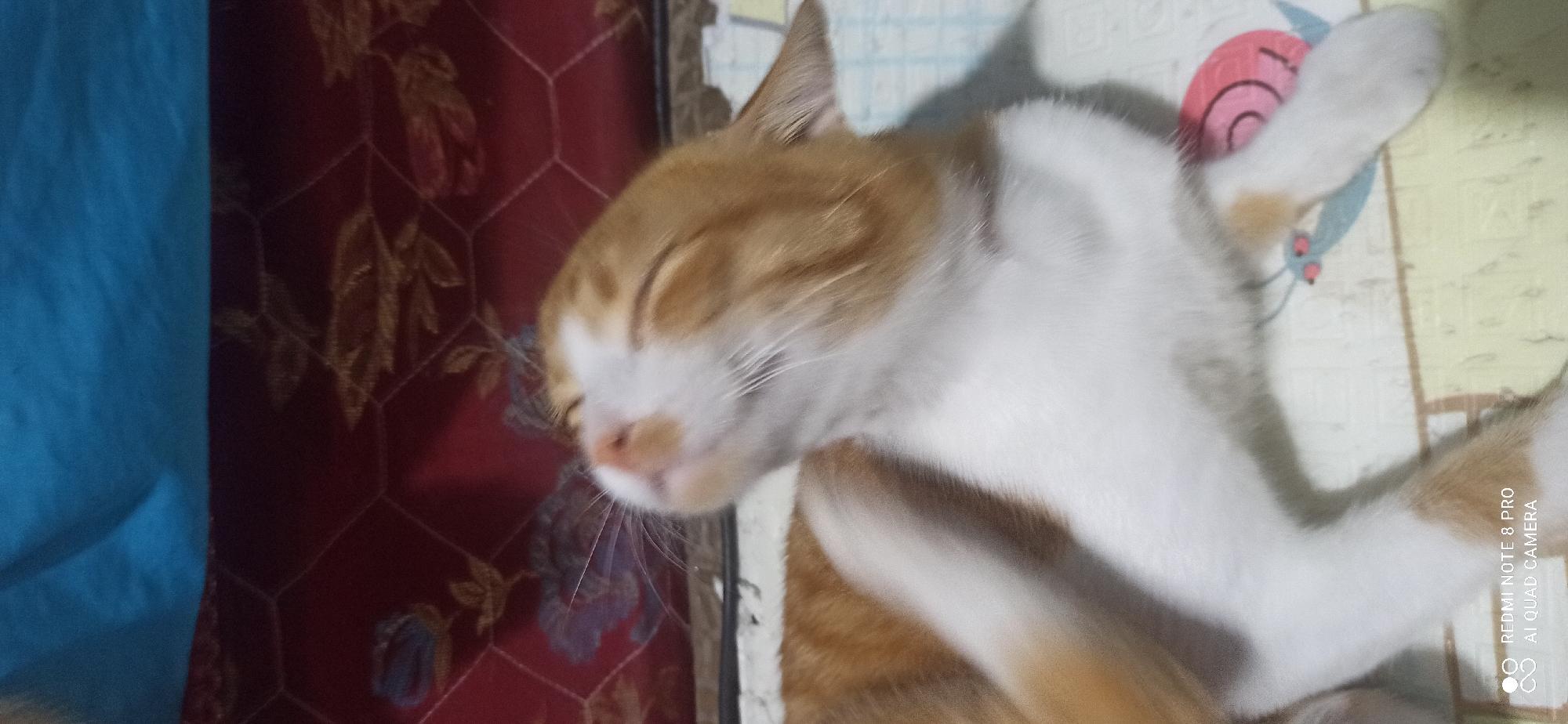 A ginger and white cat lies on a light-colored mat with a faint checkered pattern and some cartoonish snail drawings. The cat is in the foreground, with its head tilted upwards and eyes closed. Its front right paw is raised, appearing to scratch its face or neck. The background shows a red quilted surface with a floral pattern, and a blue fabric draped above. Text in the bottom left corner reads "REDMI NOTE 8 PRO AI QUAD CAMERA." The scene appears to be indoors.
