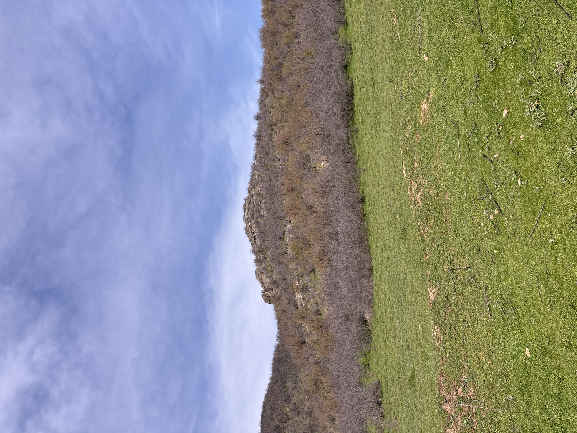 The image captures a rural landscape, possibly near Goritsa, Bulgaria, composed of a green grassy field on the right and a rocky hillside covered in sparse trees on the left. The trees appear to be leafless or sparsely foliated, suggesting it might be winter or early spring. The sky, seen on the left, is pale blue with streaks of clouds. There are no people, animals, or signs of human activity visible in the shot. The environment appears natural and undisturbed. The presence of the hillside and field suggest a mountainous or hilly area.