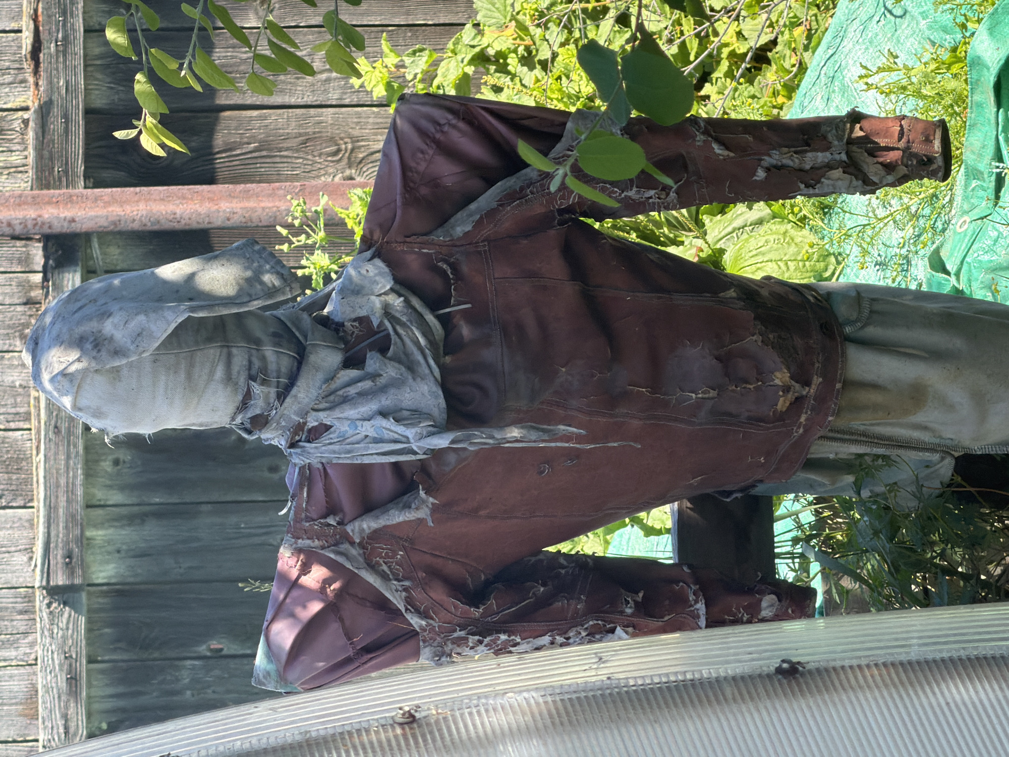 A scarecrow stands in an outdoor environment. The scarecrow is dressed in a torn, dark red, possibly leather jacket over light-colored pants. Its head is covered with a light-colored cloth that appears to be tied around the neck with a gray scarf. The scarecrow is positioned in front of a wooden fence, with green vegetation and some sort of plastic sheeting visible in the background. A clear plastic corrugated structure is on the left side of the image. The scene appears to be a garden or yard area in Karachino, Russia.