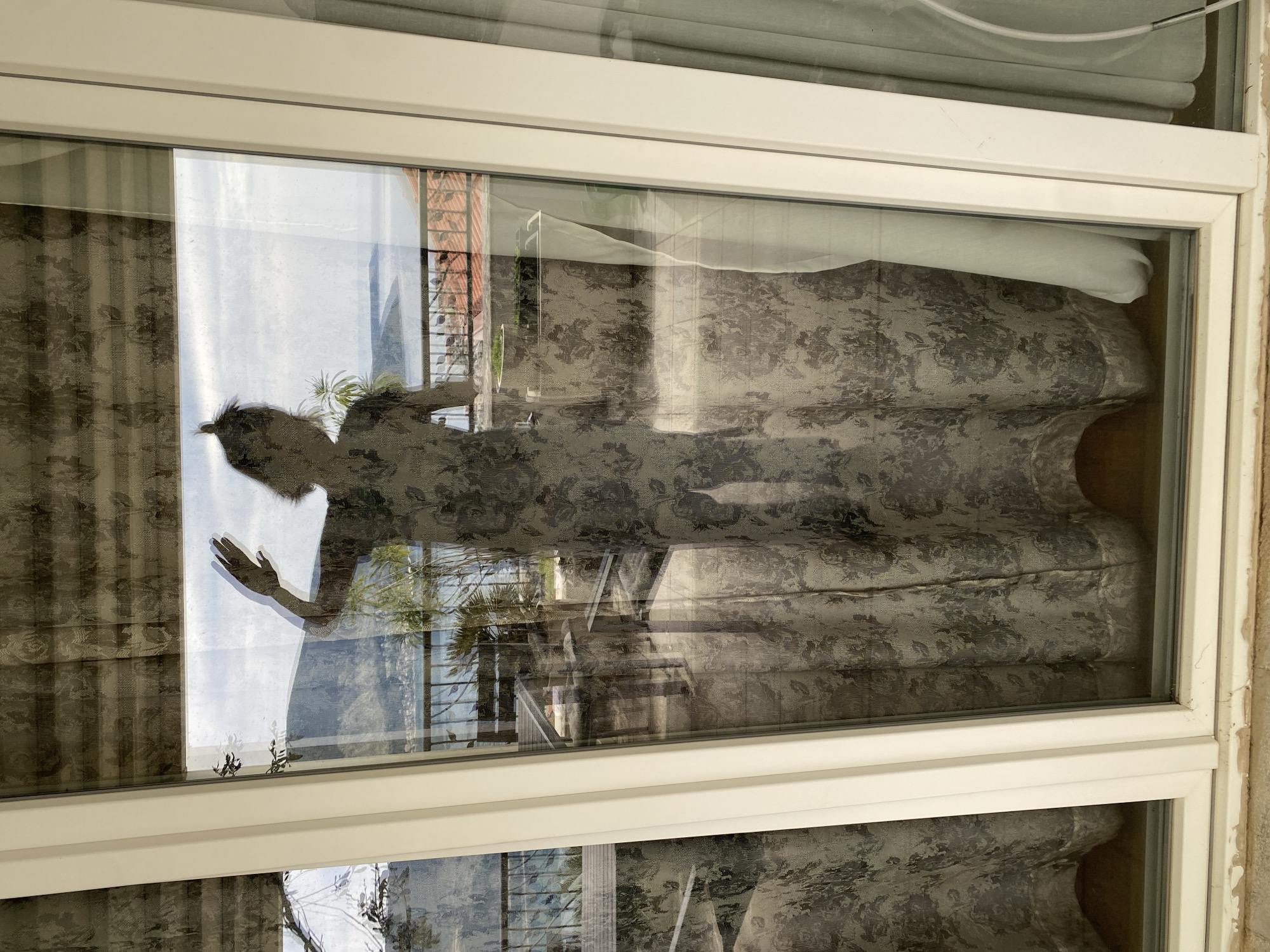 The image depicts a reflection of a woman in a window. The woman is partially obscured by the reflection of a patterned sofa and other elements of the interior. Outside the window, there is a view of vegetation and the sky. The location is Trebesin, Montenegro.