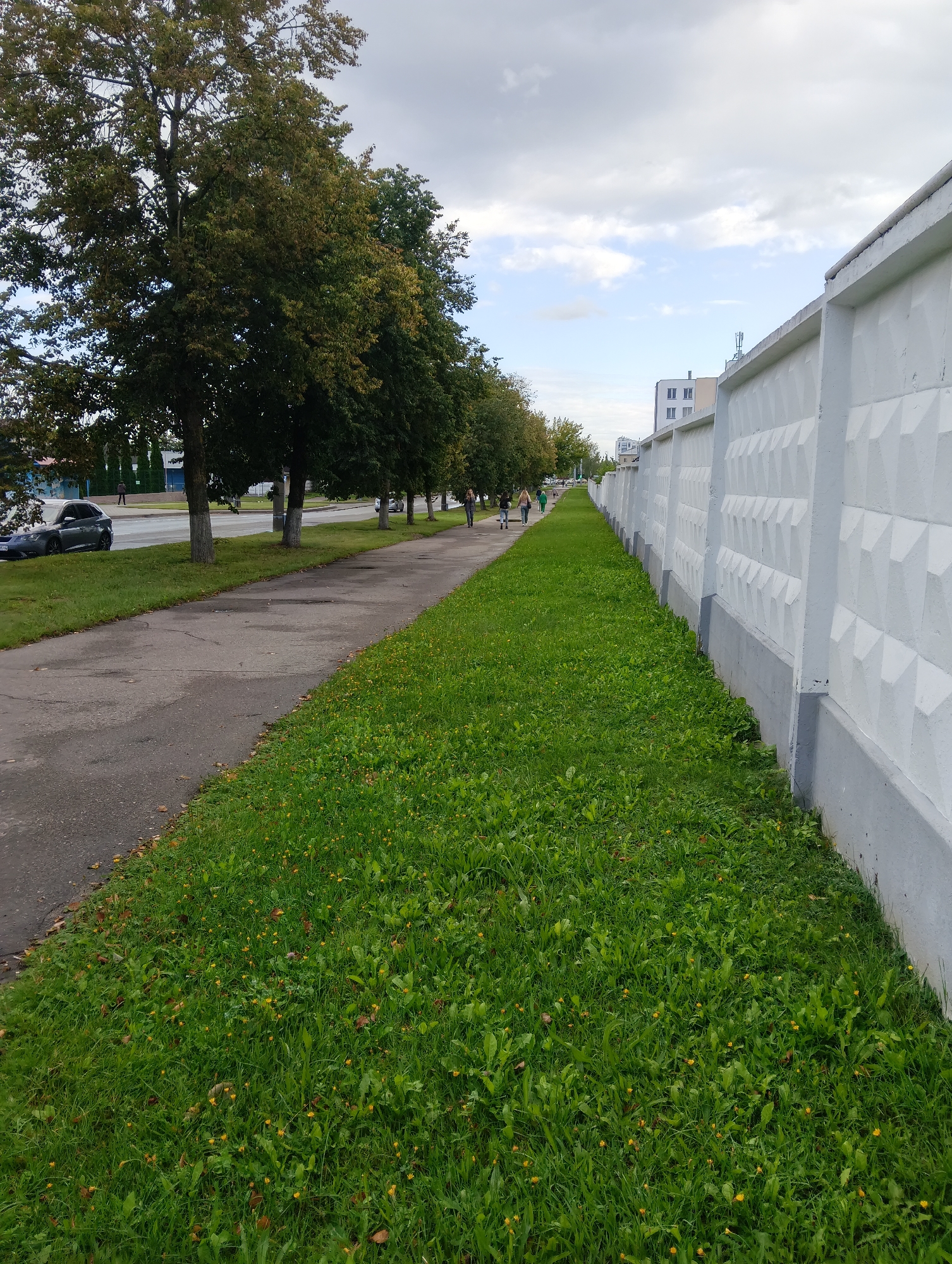 The image depicts a public sidewalk in Hrodna, Belarus, adjacent to a long, textured concrete fence. On the left side of the sidewalk, a line of trees with green and yellowing leaves is visible, suggesting it might be autumn. A grey car is parked on the roadside, and a few people are walking on the sidewalk in the distance. The sidewalk itself is made of asphalt and appears somewhat worn. The ground on the right of the sidewalk is covered in lush green grass, interspersed with small yellow flowers and fallen leaves. Beyond the trees and sidewalk, a road with traffic is present, and further in the background, multi-story buildings can be seen under a cloudy sky. The perspective is from ground level, looking down the sidewalk and along the fence.