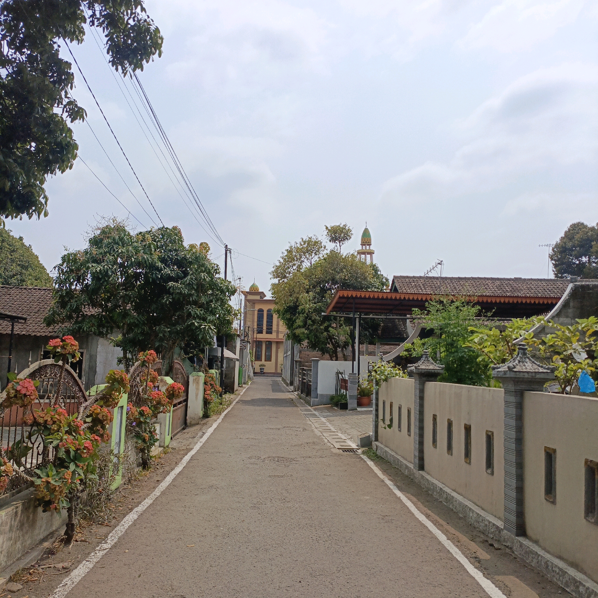 The image depicts a straight, paved road lined with houses and vegetation in Salatiga, Indonesia. A beige building with arched windows and a green-domed roof, likely a mosque or religious building, is visible in the distance. A tall, slender minaret with a green and gold finial stands behind it. The road is bordered by fences and walls of varying styles, with some featuring decorative elements. Lush trees and flowering plants, including a bush with vibrant pinkish-red flowers, grow along the sides of the road and around the properties. Overhead power lines are strung across the scene. The sky is overcast with diffused light, suggesting a cloudy day. The environment appears to be a residential neighborhood.