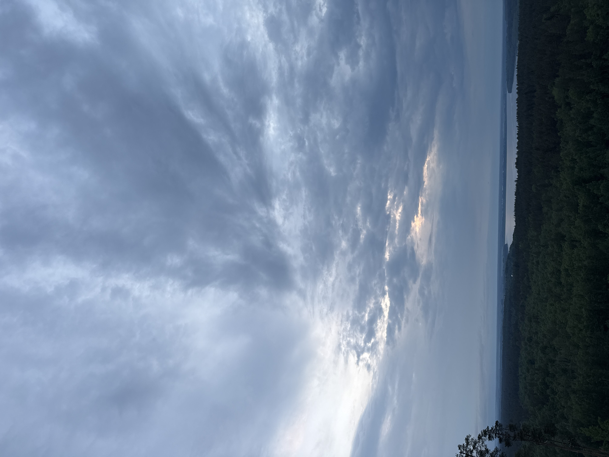 This image captures an elevated panoramic view of a natural landscape in Korobitsyno, Russia, under a heavily overcast sky. The upper two-thirds of the frame are dominated by a dense, layered expanse of dark gray and blue-gray stratocumulus clouds. A brighter, elongated patch of lighter sky and thinner clouds is visible near the horizon, slightly left of the image's vertical center, indicating a subtle light source. The lower third of the image features a vast, dark green coniferous forest, stretching across the midground and foreground. A wide body of calm water, likely a lake or river, is visible horizontally across the middle distance, separating the dense forest from a faint, distant landmass on the horizon. On the far left, the dark trunk and a few branches of a tall conifer are partially visible, suggesting the viewpoint is from an elevated position within a forested area. The lighting is dim and diffused, indicative of either dusk or a day with persistent, heavy cloud cover. No human subjects, discernible man-made structures, or active interactions are present in the scene.