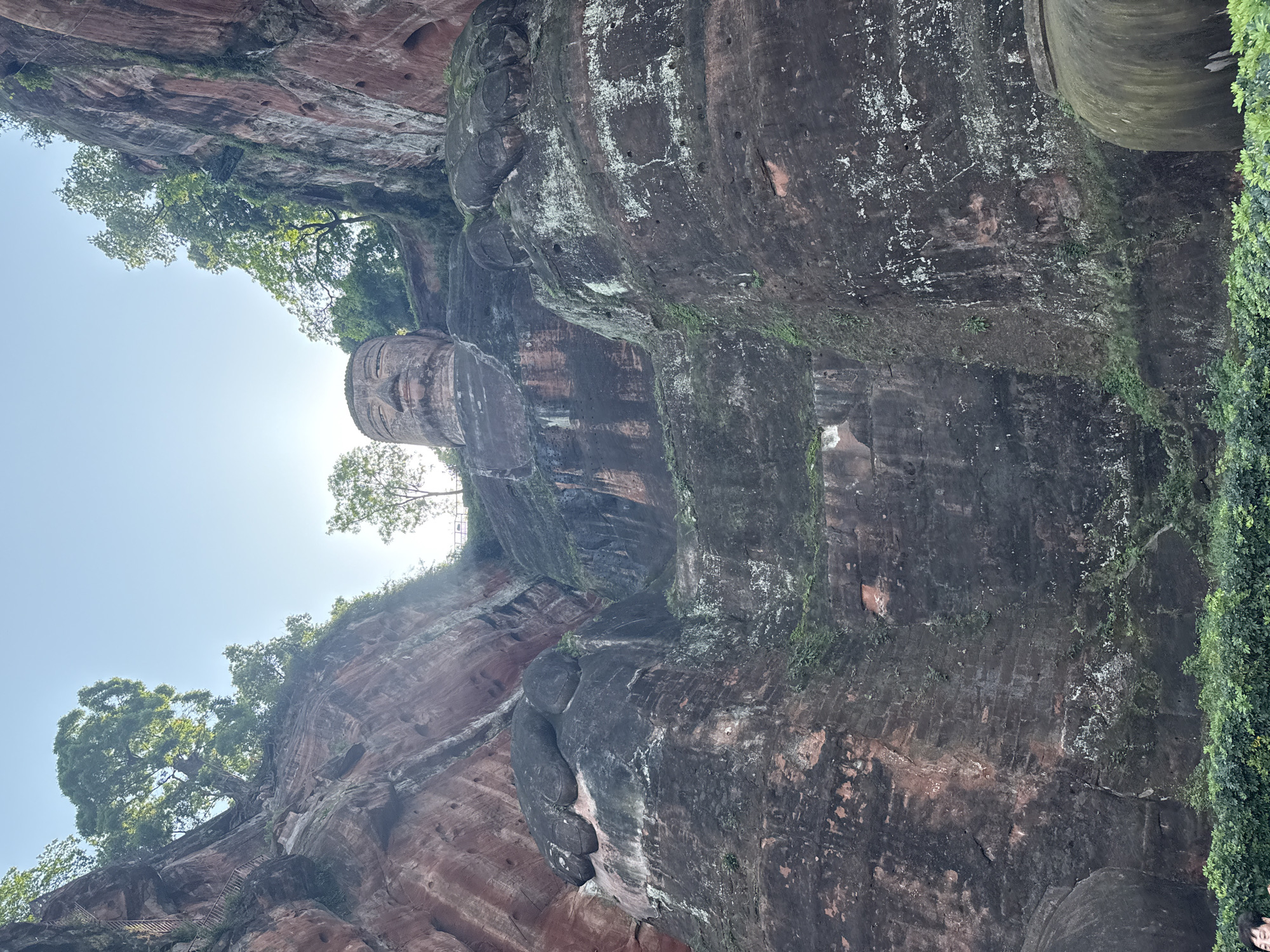 The image captures the Leshan Giant Buddha, a massive stone sculpture located near the city of Leshan, within the Shizhong District of Sichuan province, China. The camera angle is tilted upward, showing the Buddha from a lower perspective. The head of the Buddha is clearly visible with facial features carved into the rock. There are trees growing from the cliff around the top of the head. The body is largely in the shadows. The rock appears to be weathered with signs of age and plant growth.