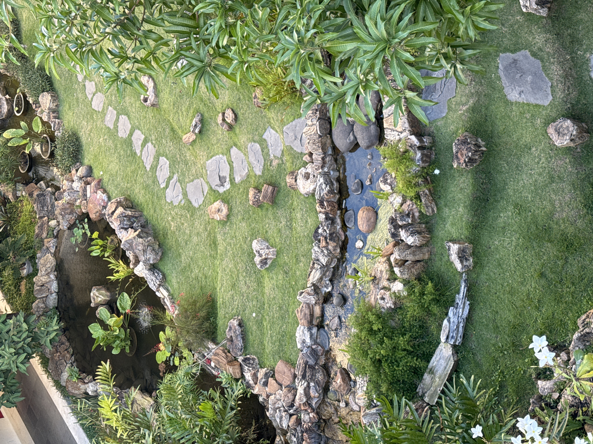 The image depicts a serene garden landscaping with a pond and a stream in the city of Kuta Selatan, Indonesia. The garden features a small, dark pond with aquatic plants and rocks, surrounded by a stone border. A pathway of flat stones winds through a lush green lawn, dotted with scattered rocks and tree stumps. A gentle stream flows alongside a section of the lawn, also bordered by stones and vegetation. The area is enclosed by abundant foliage, including leafy trees and various green plants, suggesting a well-maintained and naturalistic outdoor space. There are no people or animals visible in the scene.