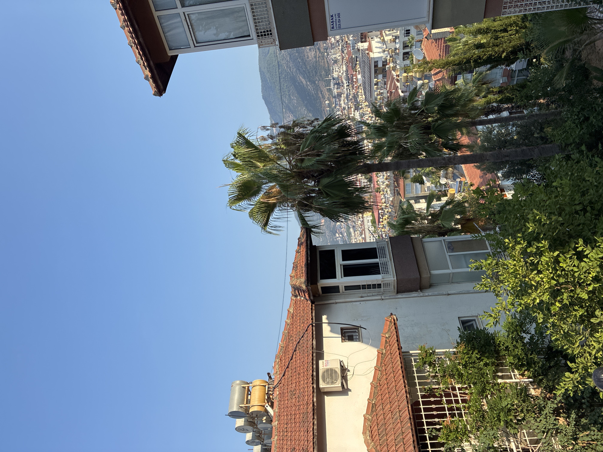 The image captures a view of a residential area in Alanya, Turkey, under a clear blue sky. In the foreground, there are several buildings with terracotta tiled roofs. One building on the left has solar water heaters mounted on its roof and an air conditioning unit on its facade. Another building to the right shows a balcony with a white railing and a window. Lush green trees and vegetation are visible in the lower part of the image, with some appearing to be citrus trees.
Beyond these structures, a dense urban landscape unfolds, characterized by numerous buildings with red roofs, many also equipped with solar water heaters. Palm trees are scattered throughout the scene, contributing to a Mediterranean feel. In the background, a mountain range rises, its slopes covered in vegetation. The overall impression is of a sunny day in a coastal Turkish city. There are no people visible in the image.