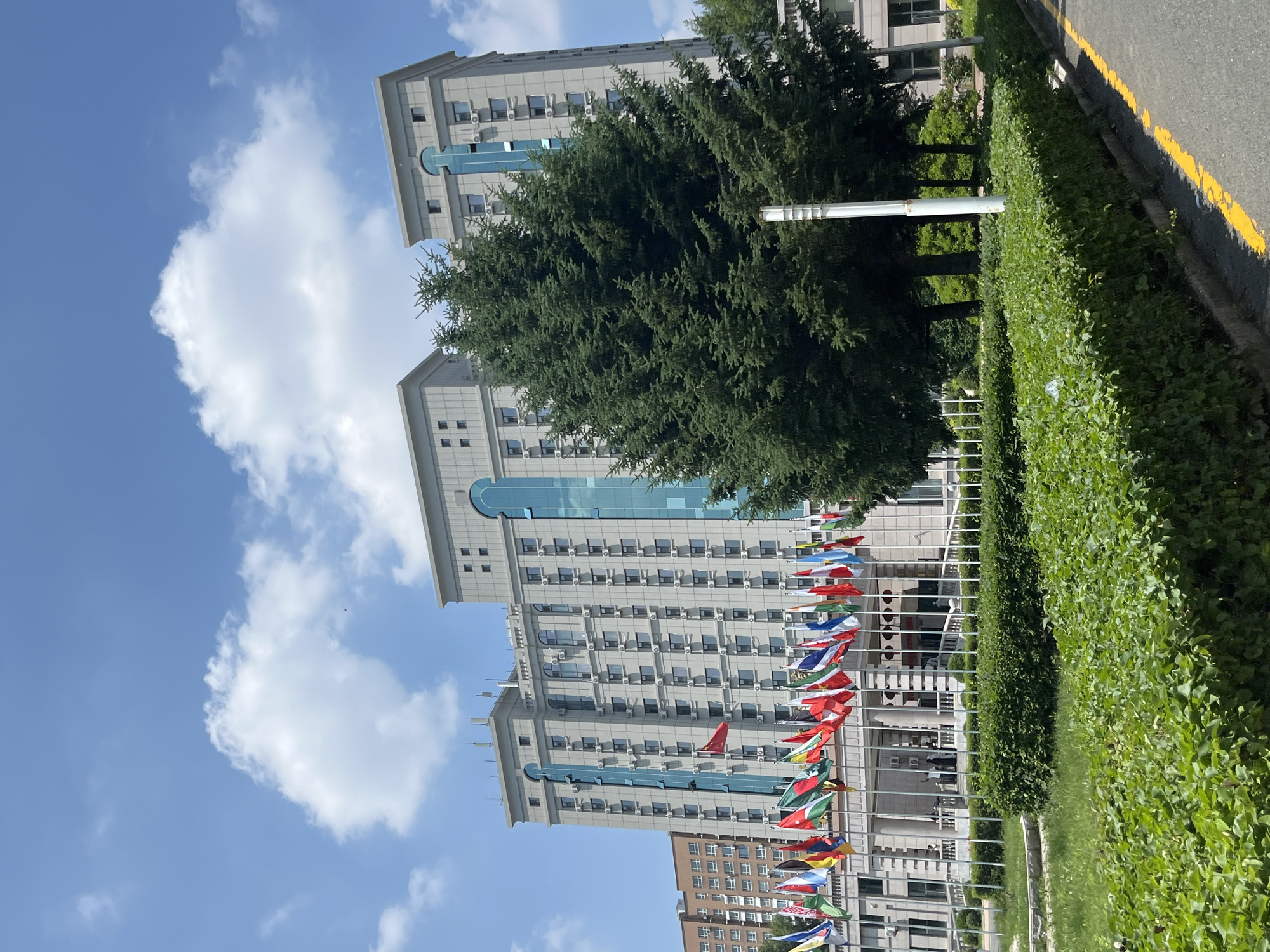 This is a medium-shot, eye-level photograph taken outdoors in Changchun City, China, on a sunny day with a partly cloudy sky. The main subject is a tall, light gray building with multiple floors, numerous windows, and a modern architectural style. In front of the building, a line of flags from various countries is displayed on poles. Two large evergreen trees are positioned in front of the building, partially obscuring its facade. In the foreground, there are well-maintained green bushes and a paved walkway with a yellow line. The overall scene suggests an institutional or governmental setting.