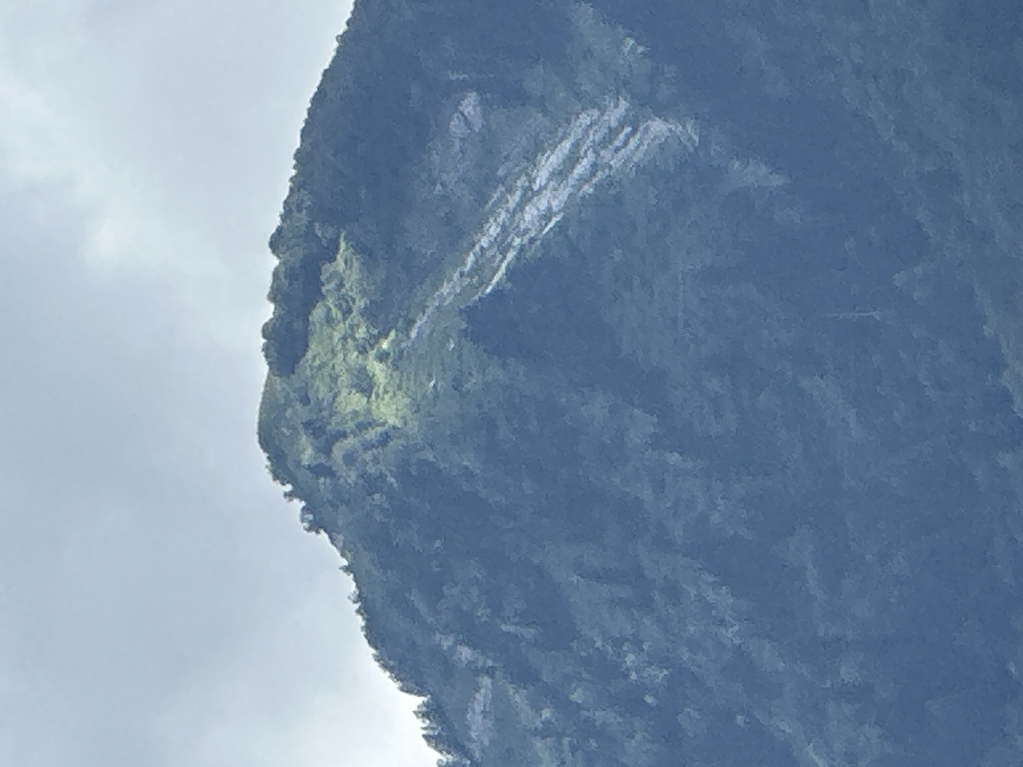 The image shows a close-up of a verdant mountain slope in Krasnaya Polyana, Russia. The mountain is covered in dense green foliage, with a lighter green patch towards the summit, possibly indicating a sunlit area or a different type of vegetation. A lighter, streak-like feature runs diagonally down the mountainside, appearing to be a path or a scar on the landscape. The sky above is overcast with diffused light, casting a soft glow on the scene. There are no people or man-made structures visible in the image, emphasizing the natural and remote character of the location.