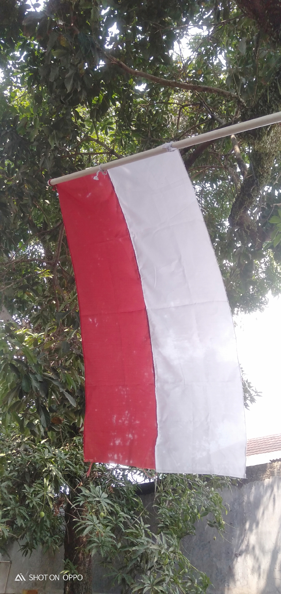 The image shows a flag of Indonesia, which is composed of two horizontal bands, red on top and white on the bottom, suspended from a pole. The flag is hanging vertically in front of a backdrop of lush green trees and foliage. In the background, there is a grey wall and the corner of a tiled roof, suggesting an outdoor setting. The lighting indicates it is daytime, possibly with bright sunlight filtering through the leaves. The lower left corner of the image contains the text "AI SHOT ON OPPO".