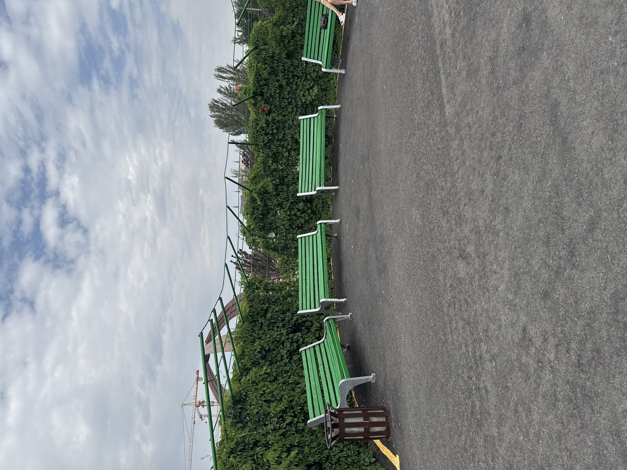 A group of five green park benches with gray legs are arranged in a semicircle on a dark gray asphalt surface. A single person is seated on the rightmost bench. Behind the benches is a dense, green ivy-covered wall with a metal trellis overhead. In the background, several construction cranes are visible against a cloudy sky. A trash receptacle is located to the left of the leftmost bench. The scene appears to be in an outdoor public space within Bishkek City, Kyrgyzstan.