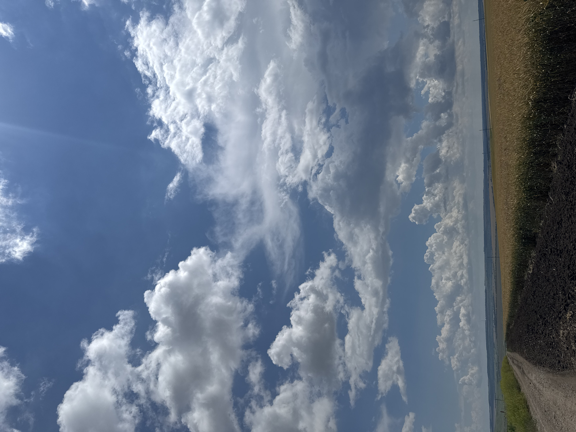 This is a landscape photograph taken from a low angle, capturing a dramatic sky with a vast expanse of clouds over a rural setting. The sky is a dominant feature, filled with a mix of fluffy white cumulus clouds and darker, more ominous storm clouds. Streaks of sunlight pierce through the clouds, creating a dynamic interplay of light and shadow.
The scene depicts a rural environment with a field of tall, golden-brown crops, likely wheat or barley, stretching to the right of the frame. In the foreground, a dirt road runs diagonally through the image, bordered by dark, tilled earth on one side and green vegetation on the other. The road leads towards the horizon, suggesting a journey or passage. In the distance, a faint line of trees can be seen, marking the edge of the cultivated land. A few utility poles are visible along the horizon, indicating human presence in the area.
The time of day appears to be late afternoon or early evening, given the angle of the sunlight and the slightly muted colors of the crops. The weather seems to be transitioning, with hints of an approaching storm due to the darker clouds, yet the presence of sunlight suggests a moment of calm before or after precipitation.
The overall mood of the image is one of natural grandeur and a sense of solitude. The vastness of the sky and the open landscape evoke feelings of peace and contemplation. The image's orientation is rotated 90 degrees counter-clockwise. There is no visible text in the image. The location context provided is Verkhnedubovskii, Russia.