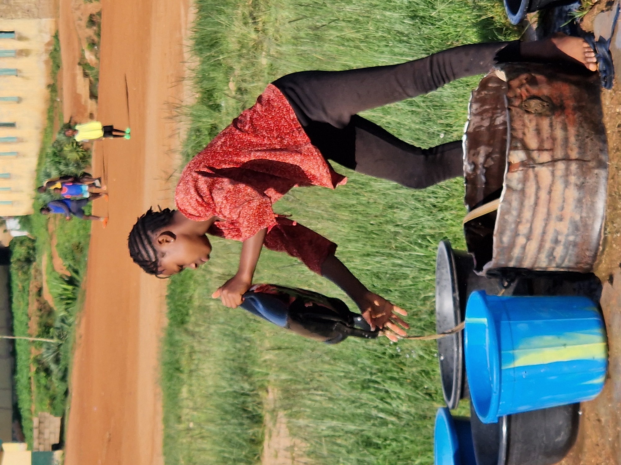 In a scene set outdoors in Kabong, Nigeria, a young girl with braided hair, wearing a red patterned shirt and black pants, is actively engaged in pouring water from a dark-colored bottle into a blue bucket. She stands amidst a collection of various sized buckets and containers, some black, one blue, and a rusty metal drum, all placed on the ground. The environment features a dirt path in the background, with patches of green grass surrounding the immediate area. Further in the distance, a light-colored building with windows can be seen, and a few other children are visible playing on the dirt. The overall impression is one of everyday life and resourcefulness in a semi-urban or rural setting.