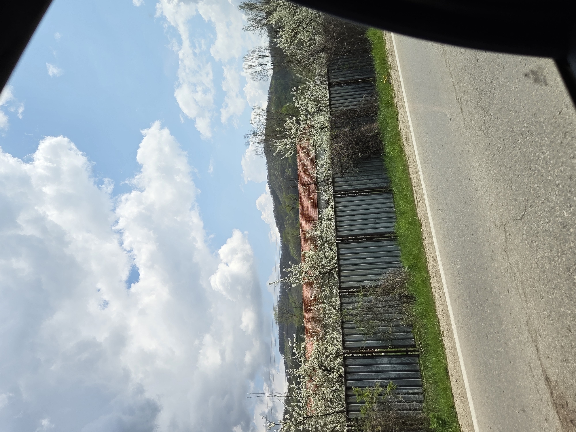 The image shows a view from a vehicle, looking across a road at a fence, a building, and a hillside. The sky is visible in the upper portion of the image, with both blue sky and cumulus clouds. The road is gray with a white line marking the edge and a strip of green grass separating it from the fence. The fence is metallic and appears to be made of corrugated sheets. Behind the fence, there is a building with a red tile roof, beyond which a tree-covered hillside rises. The white blossoms on the trees suggest springtime. The image was taken in Dobrodan, Bulgaria.