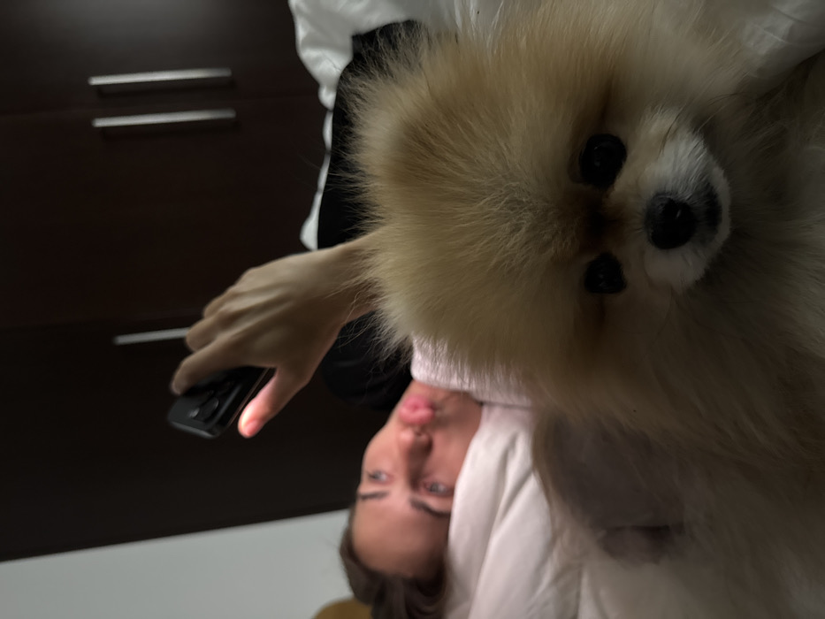 A woman lies on a white pillow, holding a phone with a light shining, which illuminates her face. A fluffy, light brown Pomeranian dog dominates the frame, its face close to the camera, slightly obscuring the woman. Behind the woman, a dark brown dresser with silver handles is visible. The image is rotated, so the scene appears upside down.
