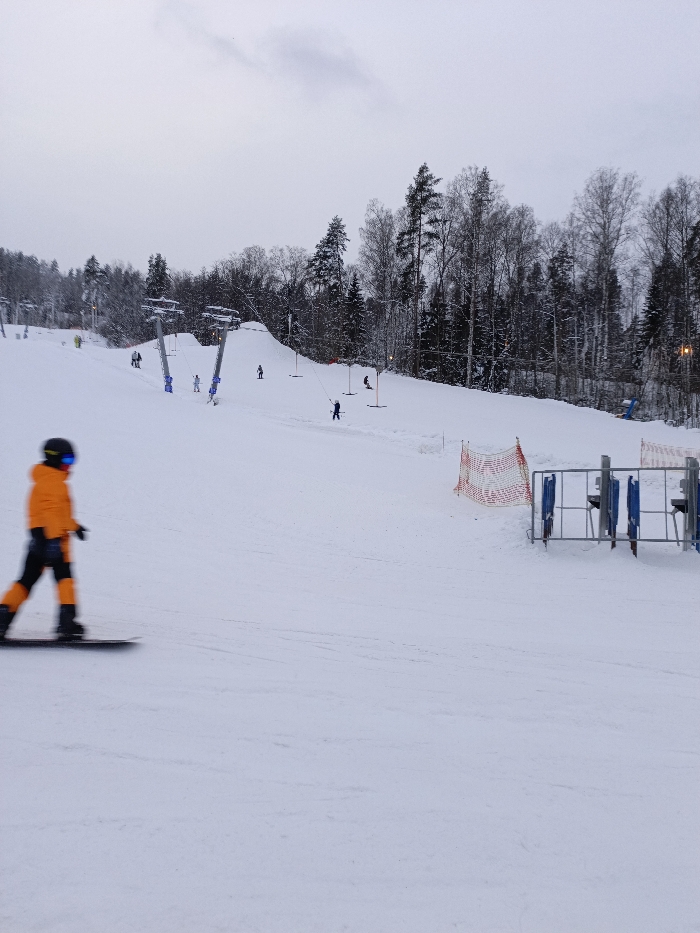 The image captures a winter scene on a snow-covered ski slope under an overcast sky. The overall impression is one of a recreational ski hill on a cold, grey day.
In the immediate foreground, to the left, a person is seen snowboarding. They are wearing a bright orange jacket, black pants, a dark helmet, and blue goggles, and are in motion, moving from left to right across the frame, indicated by a slight blur.
The mid-ground reveals more activity on the slope. Towards the center-left, two prominent ski lift pylons are visible, suggesting a T-bar or platter lift system. Several individuals are scattered across this section of the slope; some appear to be using drag lifts to ascend, with one person in a dark blue outfit clearly attached to a lift and being pulled upwards. Other smaller figures are further up the incline, either waiting or already making their way up. To the right in the mid-ground, there is a red and white checkered safety netting or fence, and further right, some metal structures, possibly gates or barriers associated with a lift queue or entry point.
The background consists of a dense forest of trees, many of which are bare-branched, while others appear to be evergreens, all dusted with snow. The treeline extends along the entire upper edge of the slope. The sky is a uniform, light grey, indicating heavy cloud cover or possibly an approaching dusk or early morning.
The image conveys a sense of active winter recreation, with individuals participating in skiing or snowboarding, utilizing the slopes and lift facilities. No text is visible in the image.