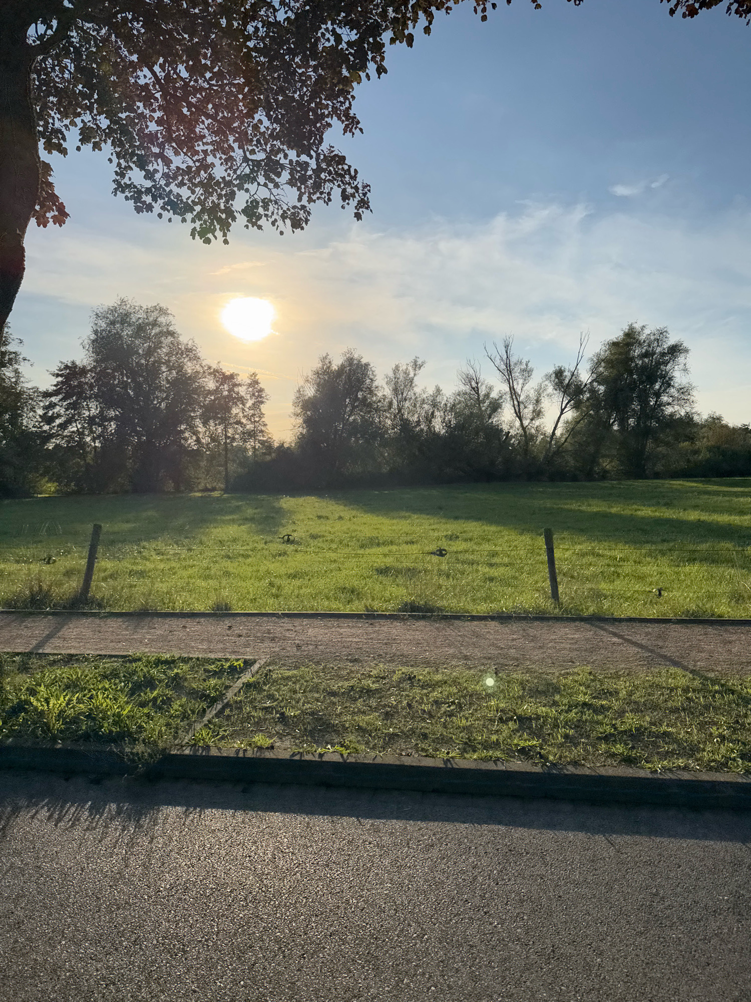 An outdoor, eye-level, wide shot captures a sunlit grassy field bordered by trees and a paved path with a sidewalk. The sun is visible in the upper left quadrant of the image, casting long shadows across the field. Two wooden fence posts are present in the middle ground, spaced apart and connected by wire. The scene is likely located in Cleves, Germany, given the typical landscape and European style fencing. The image is captured during the day, likely in the late afternoon or early evening due to the low angle of the sun. No people or animals are visible in the image.