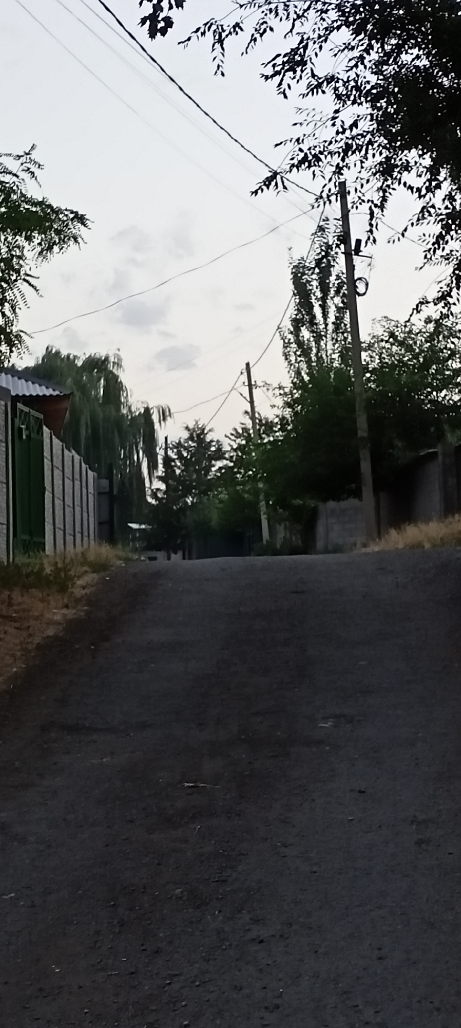 The image shows a dark asphalt road in a rural or suburban area. On the left side of the road, there is a tall, light-colored fence with green vertical panels and a dark roof. Behind the fence, weeping willow trees are visible. Further down the road, there are more trees and some buildings. On the right side of the road, there is a gray concrete wall and dry grass. Two utility poles with wires are visible in the distance, stretching across the sky. The sky is overcast with some clouds. The overall impression is a quiet, possibly early morning or late evening scene. The location is identified as Sokuluk, Kyrgyzstan.