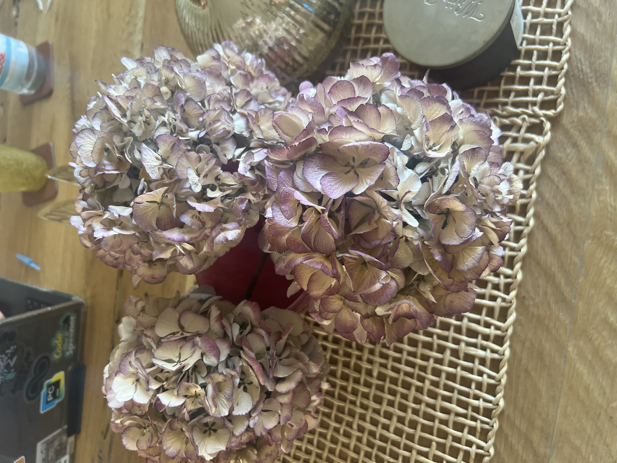 Three dried hydrangeas in shades of beige, cream, and pink are arranged in a red vase, placed on a woven placemat. The placemat rests on a wooden table. In the background, a laptop with stickers is visible, along with a glass of yellow liquid and a bottle of water. A decorative gold glass object is on the right side of the table, next to a circular metallic object. The scene is indoors. There is no information in the image that would indicate the location is Treviso, Italy.