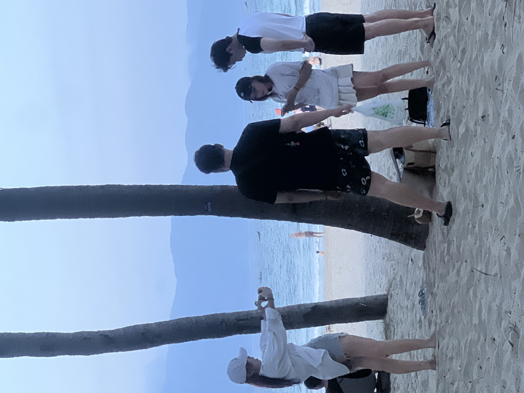 The image depicts a scene on a beach in Đà Nẵng, Vietnam, likely during dusk, given the soft lighting and muted colors. In the foreground, two palm trees stand tall. To the left, a woman wearing a white cap, white shirt, and denim shorts is holding a camera, seemingly taking a photo or video. To her right, a man in a black t-shirt and patterned shorts stands with his back to the camera. Further to the right, a woman in a white t-shirt and a light-colored skirt is looking at her phone, and a man in a white and black t-shirt and black shorts stands next to her. In the background, the ocean meets a hazy horizon with mountains. The sandy beach is populated by a few other individuals, some visible in the distance. Bags and a coconut are visible on the sand near the group. The overall atmosphere suggests a casual outing at the beach.