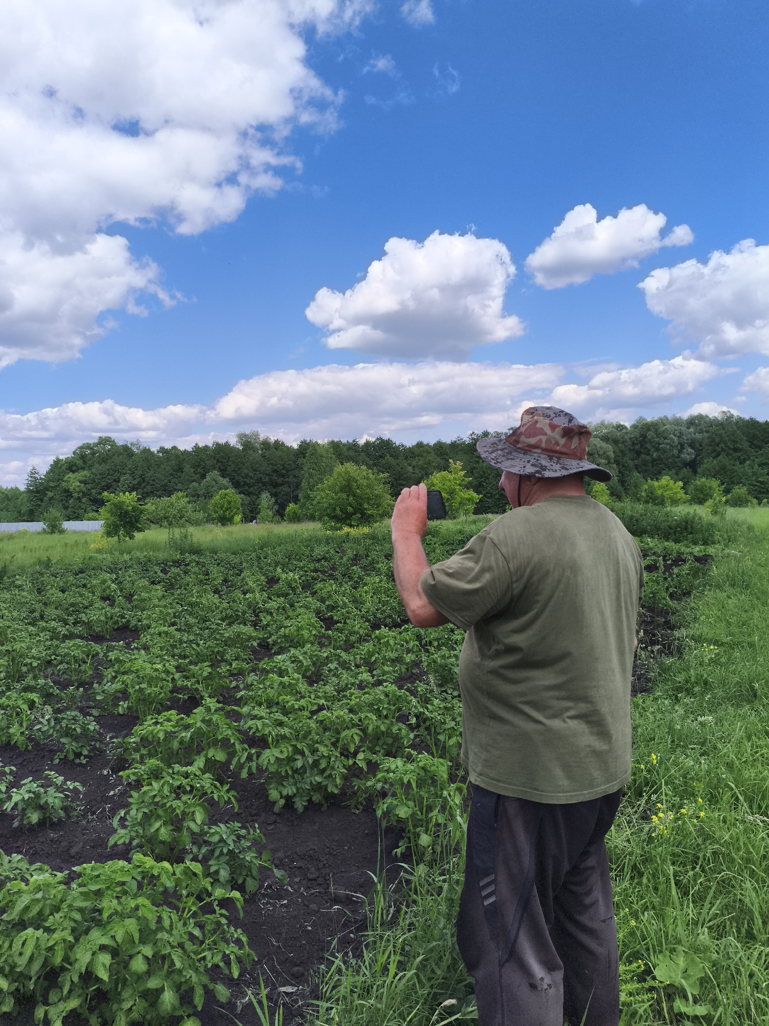 An adult male, viewed from the rear, stands in a field of green plants under a blue sky with white clouds. He is wearing a green t-shirt, black pants with stripes on the side, and a camouflage-patterned bucket hat. The man is holding a black mobile phone in his right hand, seemingly taking a picture or video. The field appears to be a cultivated area, possibly a farm or garden, with rows of green plants and dark soil. In the background, a dense line of trees forms a horizon, and beyond that, more vegetation. The overall setting suggests a rural or semi-rural location, consistent with the village of Ilmino, Russia.