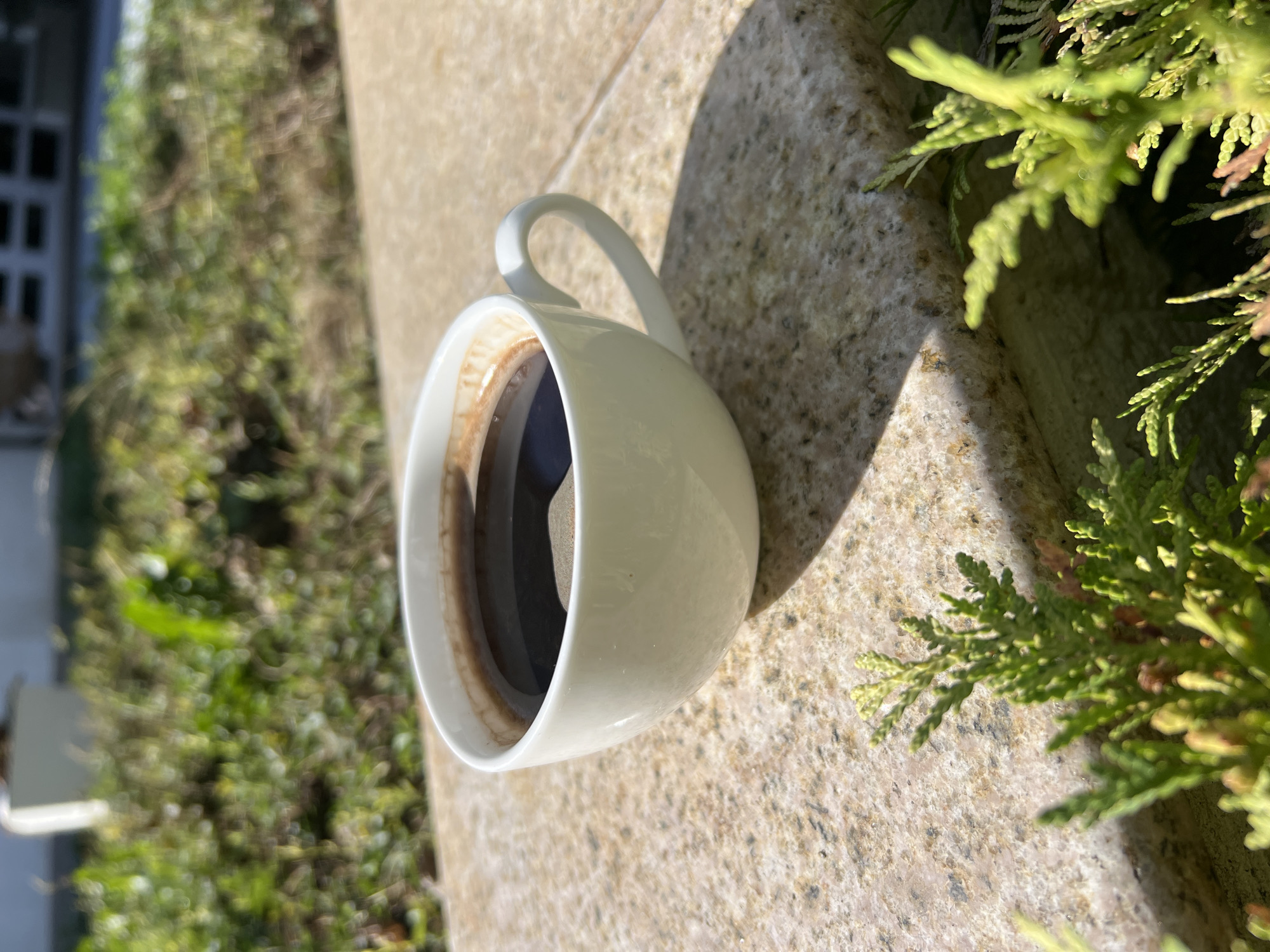 A white ceramic cup filled with dark coffee sits on a speckled granite ledge outdoors. The cup is in the foreground, casting a shadow to its right. In the background, out-of-focus green foliage and a blurred structure are visible under bright sunlight. Green branches are in the extreme foreground, also out-of-focus. The scene is devoid of people. The location is the city of Fontanka, Ukraine.