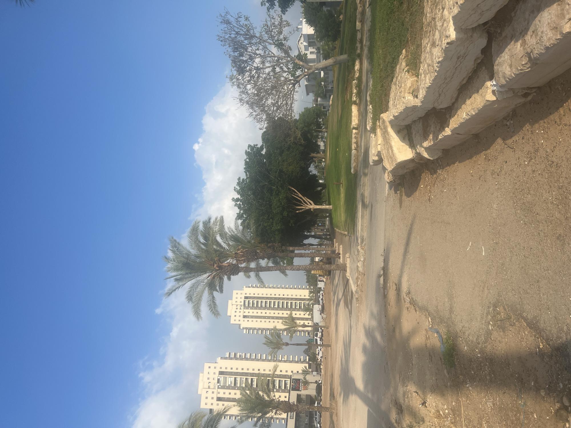 In Or Akiva, Israel, a view of a modern urban landscape unfolds under a bright blue sky with scattered white clouds. To the left, two tall, beige apartment buildings with numerous windows stand prominently, casting long shadows. In front of these buildings, several palm trees with full fronds punctuate the scene, their shadows also visible on the ground. A street runs in front of the buildings, with several cars and a white van parked along the side.
The foreground of the image shows a dirt and asphalt pathway. To the right of the pathway, a neatly trimmed green lawn stretches out, bordered by a low retaining wall constructed of large, light-colored stones. A bare-branched tree stands on the lawn, its light-colored trunk and branches contrasting with the green of the grass and the darker foliage of other trees further back. In the middle ground, more trees form a line, with a larger, denser canopy of green on the left and a lighter, more sparse tree on the right. The overall impression is one of a well-maintained urban environment, likely a park or residential area, with a mix of architectural and natural elements.