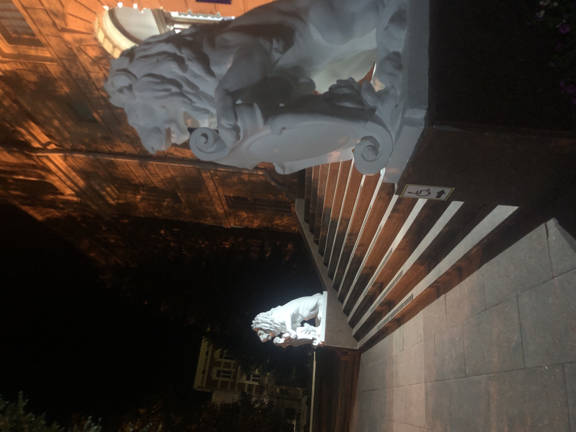 The image shows two white lion sculptures on a stone staircase at night. The sculpture in the foreground is larger and more detailed, with a shield at its paws. It is illuminated by warm artificial light coming from a building in the background, which appears to be made of brick and has arched windows. To the left, a smaller lion sculpture is visible on a lower level of the staircase. The staircase is made of wood and stone. There is a sign indicating accessibility with a wheelchair symbol. The environment is dark with some trees visible in the background. The image appears to be taken in Chernivtsi, Ukraine, possibly in front of the Chernivtsi National University, also known as the Residence of Bukovinian and Dalmatian Metropolitans.