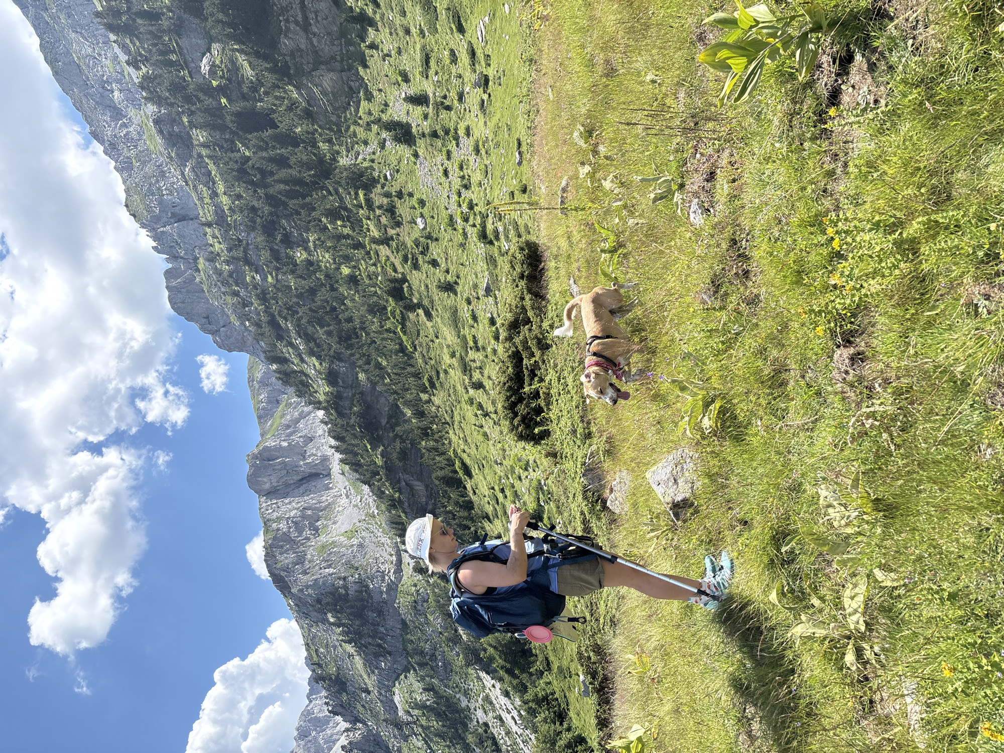 A woman wearing a white hat, sunglasses, a blue sleeveless top, and khaki shorts stands in a grassy mountain landscape in Katun Vulić, Montenegro. She has a blue backpack with a pink water bowl attached. She is holding trekking poles and looking at her phone. A tan dog with a red bandana around its neck stands to her right, looking towards the woman. The background features steep, rocky mountains covered in sparse green vegetation and scattered pine trees. The sky is blue with scattered white clouds. The ground is covered in green grass with patches of yellow flowers and rocks.
