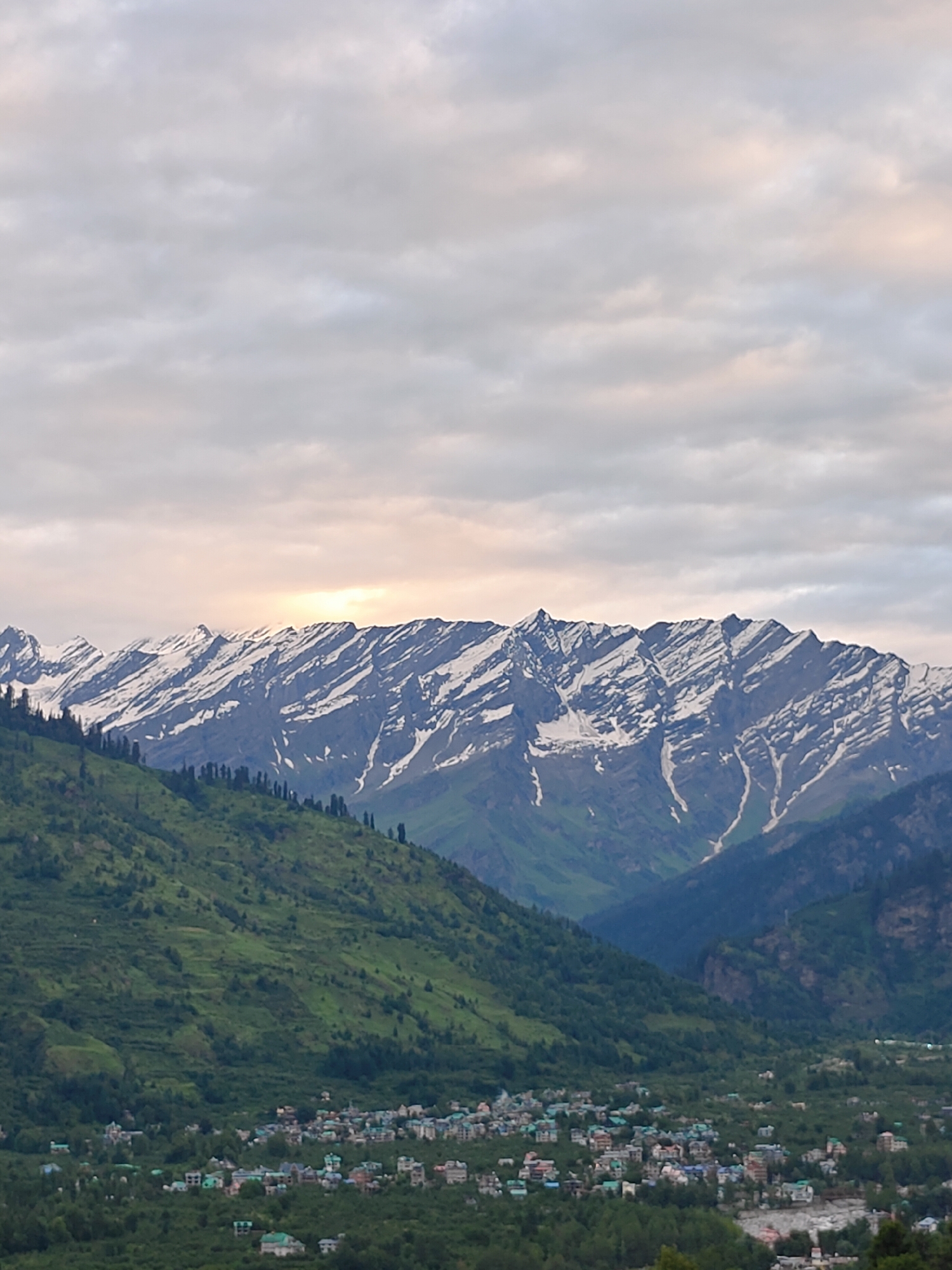 The image captures a panoramic view of the Himalayas from Vashisht, India. In the foreground, a verdant, terraced hillside slopes down towards a small town. The town, a cluster of buildings with colorful rooftops, is nestled amidst dense green foliage. Further in the background, majestic snow-capped mountains rise sharply, their peaks silhouetted against a sky filled with soft, diffused clouds. The sky has a warm, ethereal glow, suggesting either sunrise or sunset, with a band of pale yellow light breaking through the clouds above the mountain range. Tall, dark green coniferous trees dot the landscape, adding depth and texture to the scene. The overall impression is one of natural beauty and tranquility.