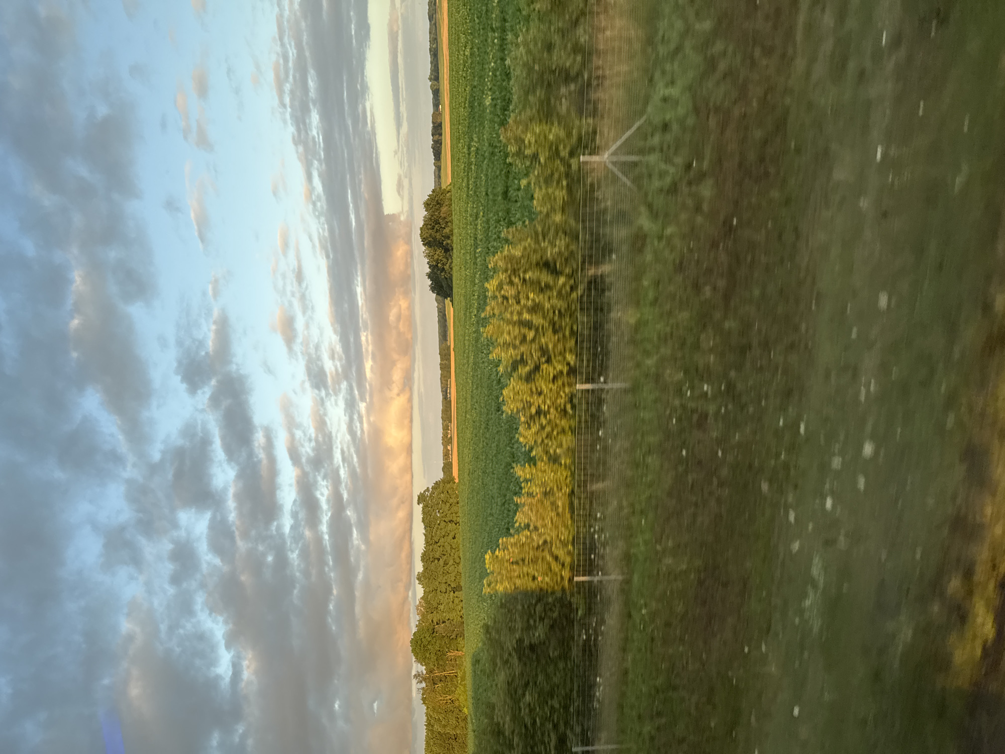 This image depicts a rural landscape under a cloudy sky, possibly taken from a moving vehicle given the motion blur in the foreground. In the mid-ground, a vibrant green field stretches horizontally, dotted with small bushes and a distant copse of trees. A row of lush, green trees forms a dense line across the left side of the frame, with a section of lighter green, more feathery trees in front of them, illuminated by sunlight. A wire fence runs across the foreground, separating the field from the blurry lower portion of the image which is mostly green with patches of yellow. The sky is a mixture of blue and grey clouds, with hints of pink and orange light suggesting either sunrise or sunset. The overall impression is one of agricultural land under dramatic atmospheric conditions. The mention of Mozów, Poland, places this scene in a specific geographical context, implying the landscape is typical of the Polish countryside.