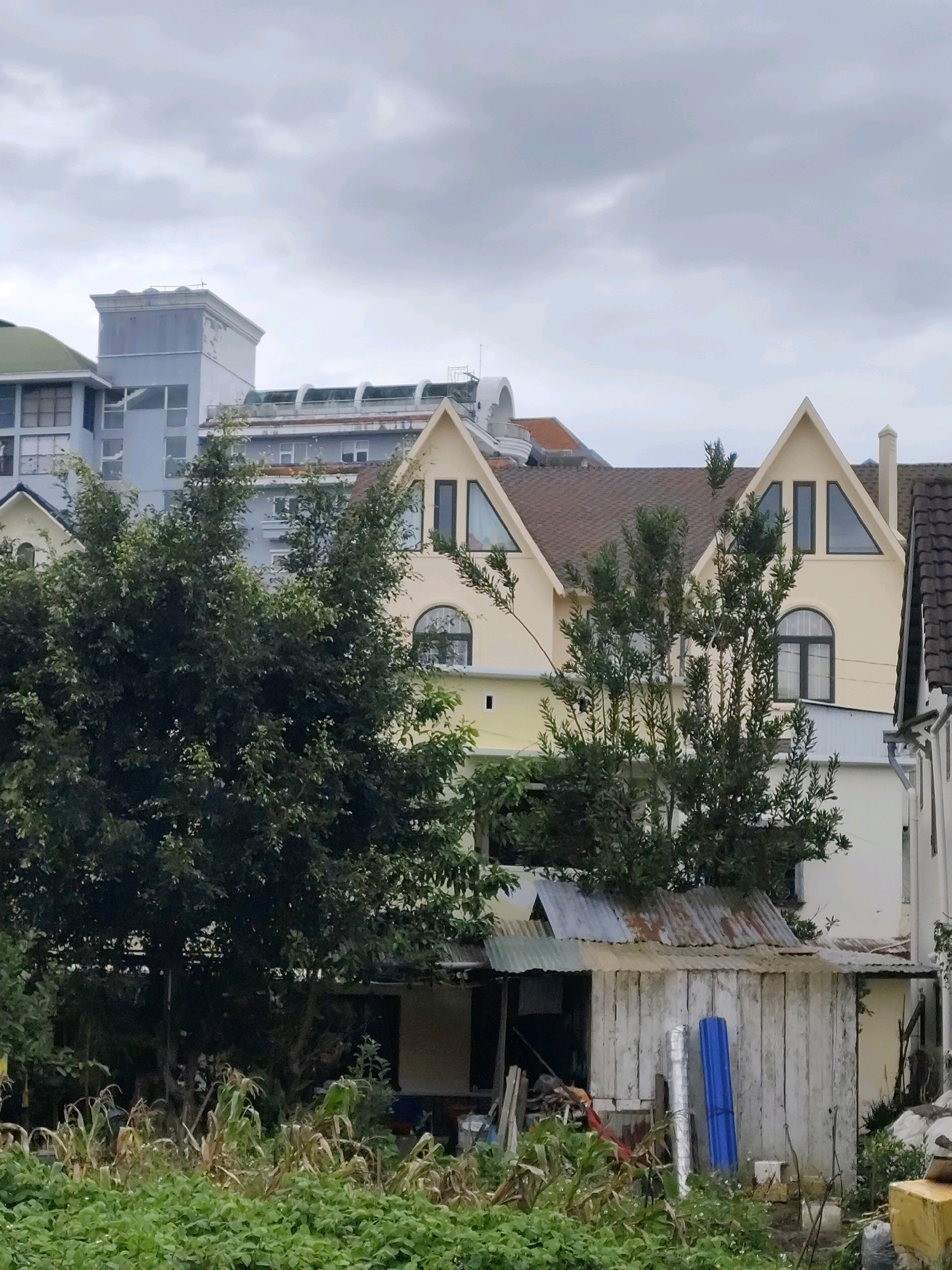 The image depicts a residential area in Xuan Huong, Da Lat, Vietnam, under an overcast sky. In the foreground, dense green vegetation, including what appears to be crops and leafy plants, covers the lower portion of the frame. Behind this greenery, a small, weathered wooden shed with a corrugated metal roof is visible. The shed has an open doorway revealing some stored items and appears to be in disrepair. To the left of the shed, a large, mature tree with dark green foliage dominates the mid-ground, partially obscuring structures behind it.
Further back, a light yellow house with a brown tiled roof is prominent. This house features distinctive A-frame gables with triangular windows. Adjacent to it, another house or building with a similar aesthetic is partially visible. In the background, taller, multi-story buildings, including a light blue structure with numerous windows and a lighter colored building with rounded architectural elements, are visible, suggesting a mix of older and newer construction. The overall scene conveys a somewhat cluttered and lived-in atmosphere, characteristic of a residential neighborhood. No people are visible in the image.