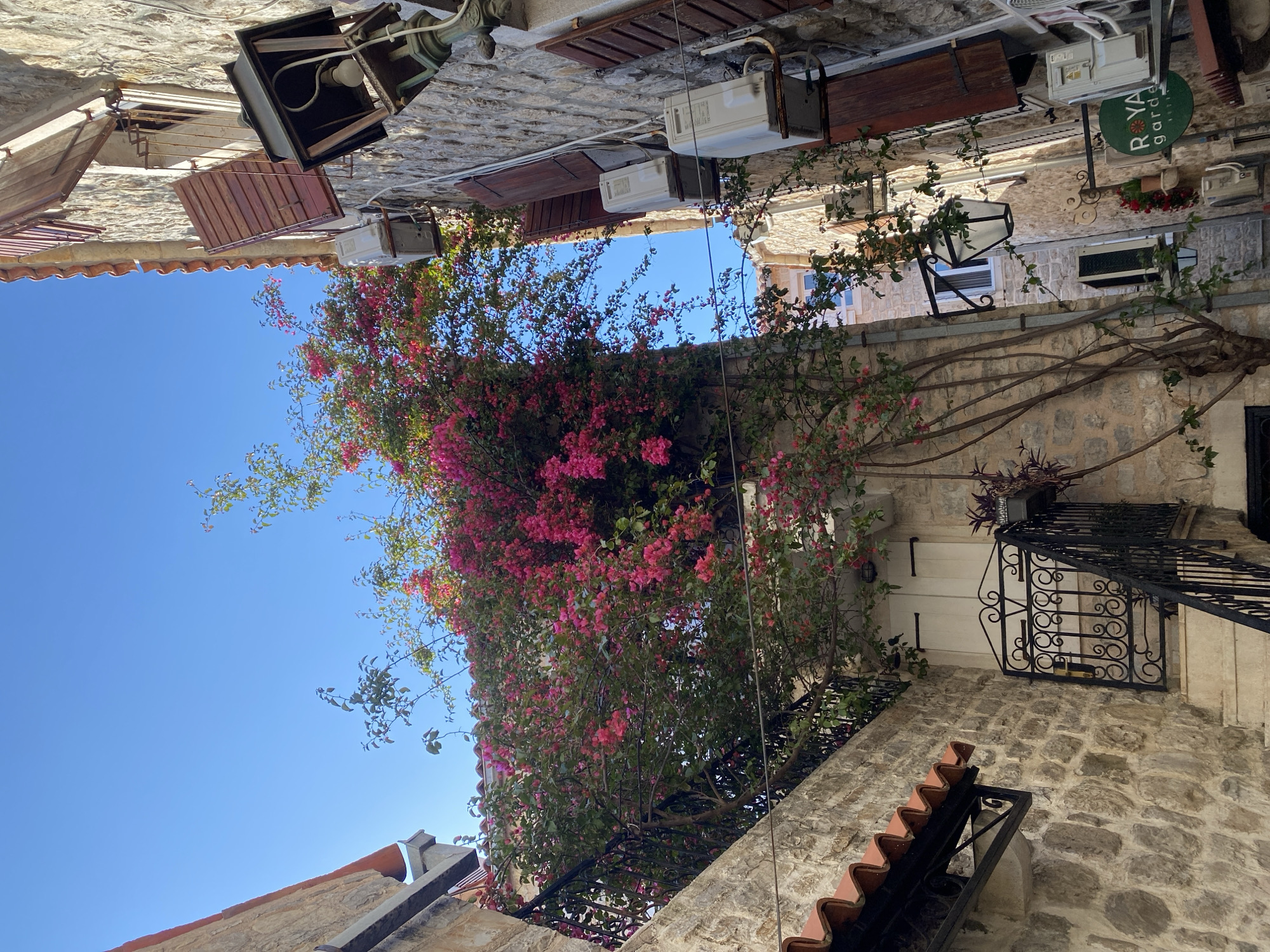 Here is a description of the image:
The image depicts an upward-facing view of a narrow street, likely in an old European city, with stone buildings on either side. The buildings are adorned with various architectural details such as tiled roofs, wrought-iron balconies, and what appear to be air conditioning units mounted high on the walls. A large bougainvillea plant with vibrant pink flowers dominates the central view, its branches extending across the street, partially obscuring the sky. The sky is a clear, bright blue. There are also a couple of signs and light fixtures that might indicate local businesses or points of interest. The overall composition emphasizes the close proximity of the buildings and the way nature has integrated into the urban environment.
