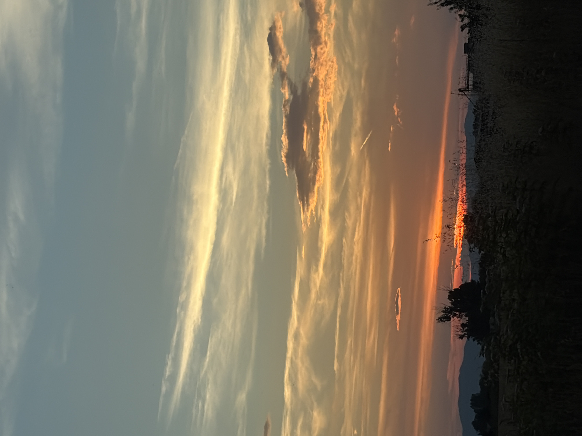 The image depicts a rural landscape at sunset. The sky is filled with streaks of orange, yellow, and blue clouds. In the foreground, silhouetted against the vibrant sky, are trees and tall grass. Distant mountains are visible on the horizon. The overall impression is one of a serene and picturesque evening scene. The location is unknown.