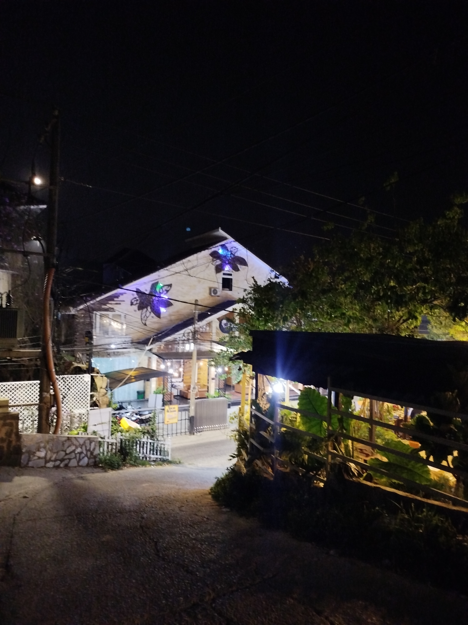 At night in Da Lat, Vietnam, a quiet street slopes upwards towards a brightly lit two-story building. The building is decorated with floral designs and has an awning that extends over an outdoor seating area. A fence runs alongside the street, separating it from the building's garden. Above the building are power lines stretching across the night sky. To the right of the building, trees and foliage fill the scene. A street lamp is visible to the left, illuminating the road. The overall lighting is dim, with the main source of illumination coming from the building and street lights. The road surface is dark and uneven.